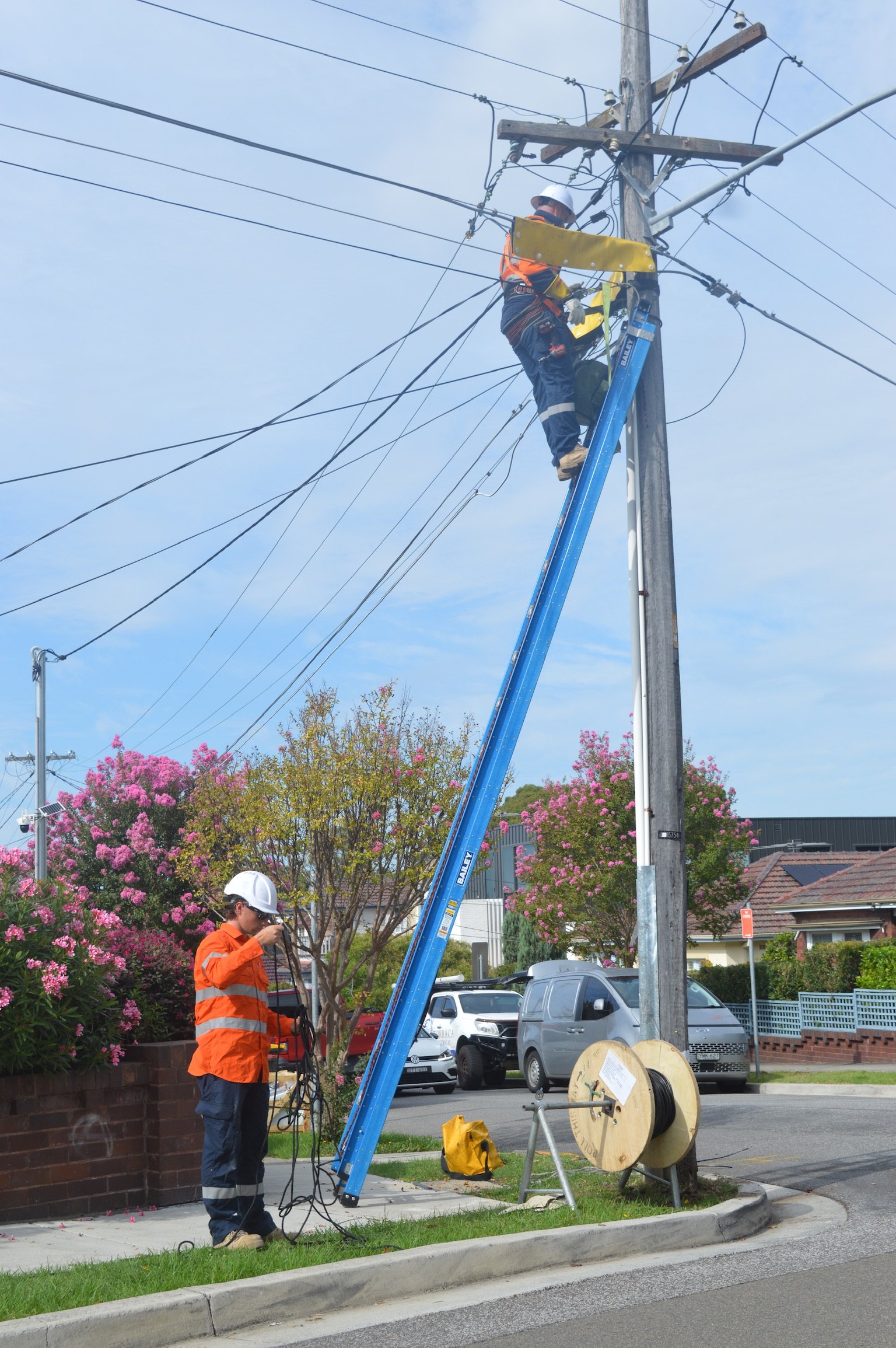Torraca Electrical Level 2 ASP elevated work platform on residential street — overhead line work Hornsby