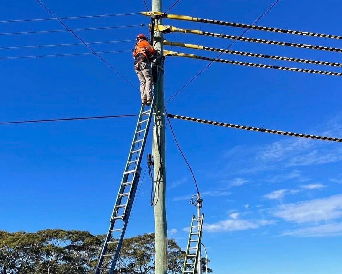 torraca electrical overhead connect ausgrid pole berowra