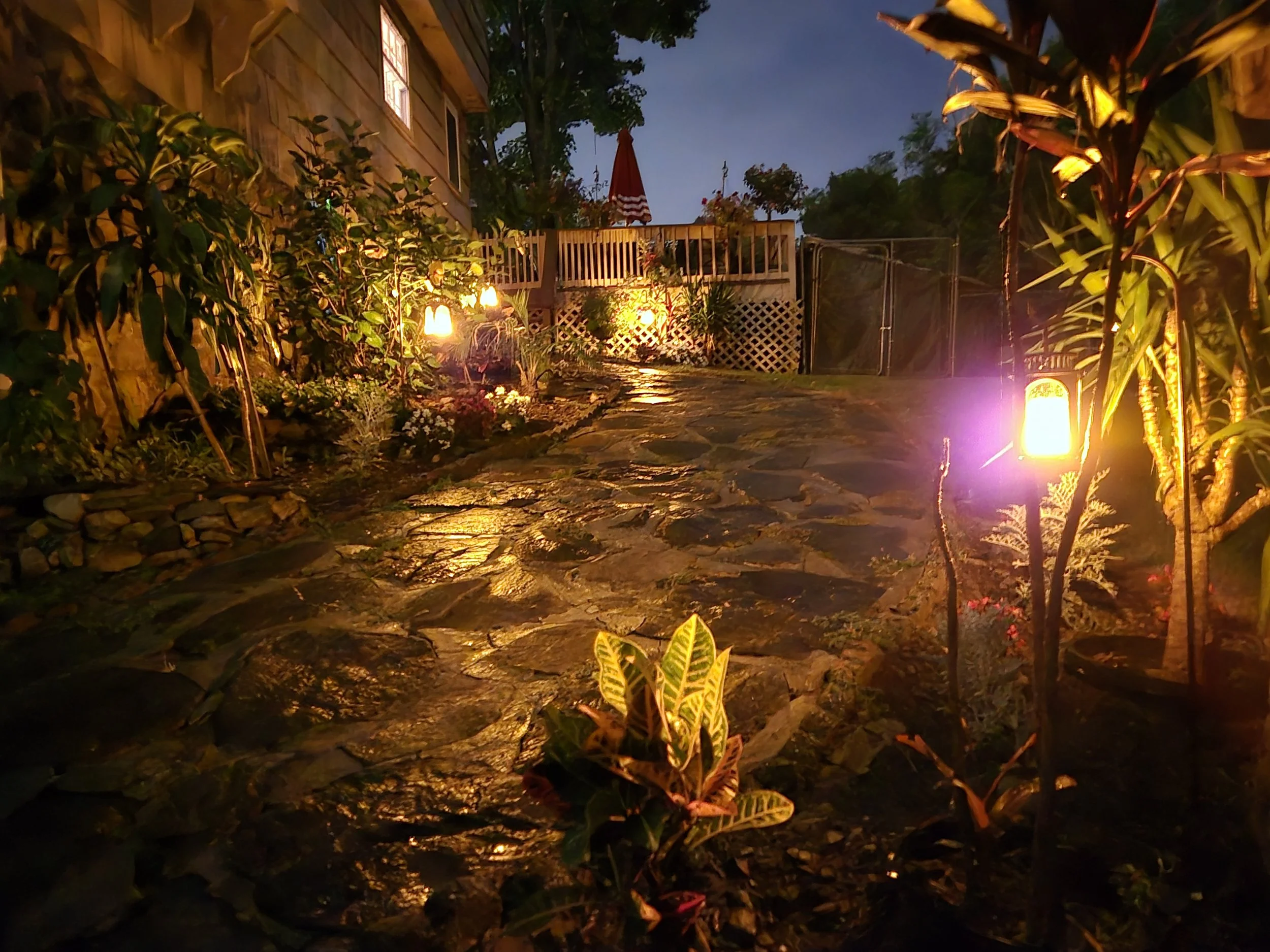 Night gardens.jpg