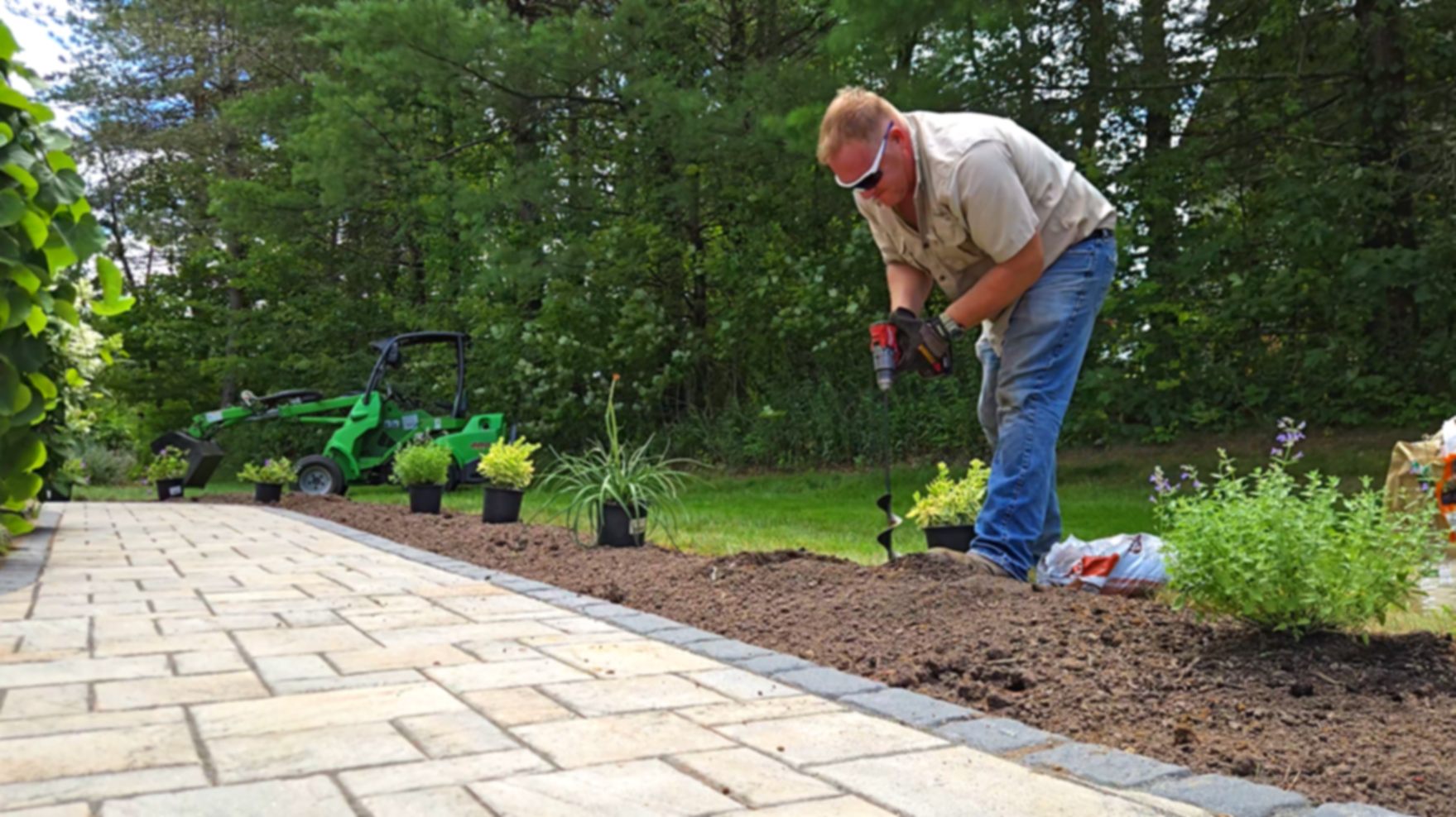 Early Dawn Landscapes professional man installing a garden, planting flowers along a brick pathway in a backyard with trees and a green lawn. In Danbury CT and surrounding CT/NY counties such as Fairfield, Hartford, New Haven, Westchester, Putnam.