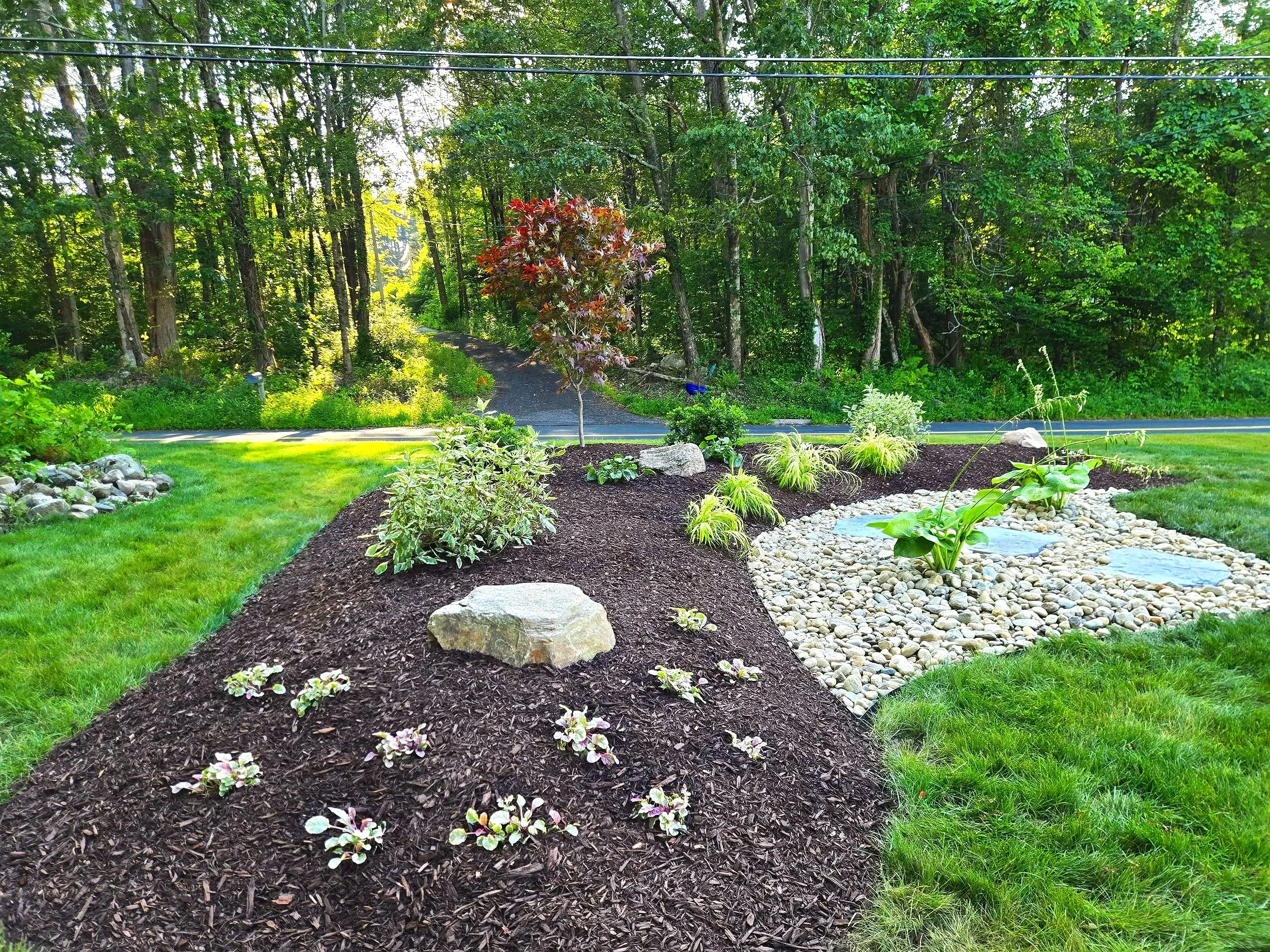 A landscaped yard with a grassy lawn, mulch beds with plants and flowers, and a gravel section with water features, surrounded by trees and a wooded area in the background. Landscape designs and installs in Danbury CT and surrounding CT/NY counties.