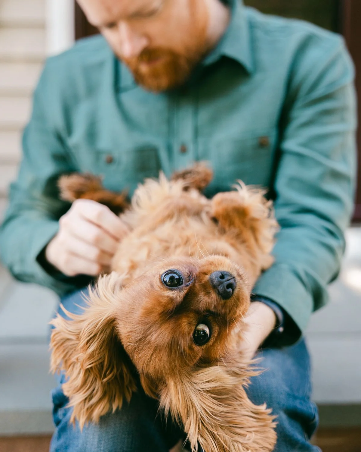 I have a huge backlog of sessions to share with you and I'm feeling rather crippled with indecision over which ones to post when. To get over it, I'm sharing this fun picture from a recent at home family session because it's a rainy day and cute pups