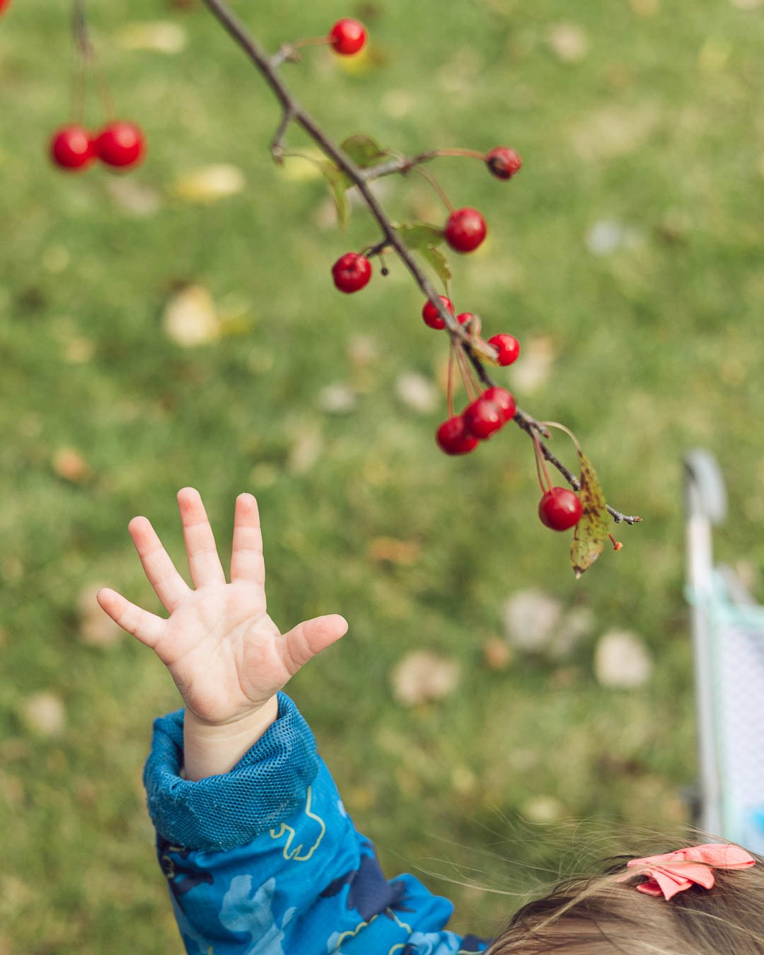 Looking for small sweet moments of parenting after a week of holidays and sickness. How is everyone faring right now?