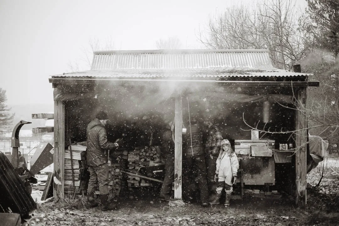 How to Survive March in Vermont