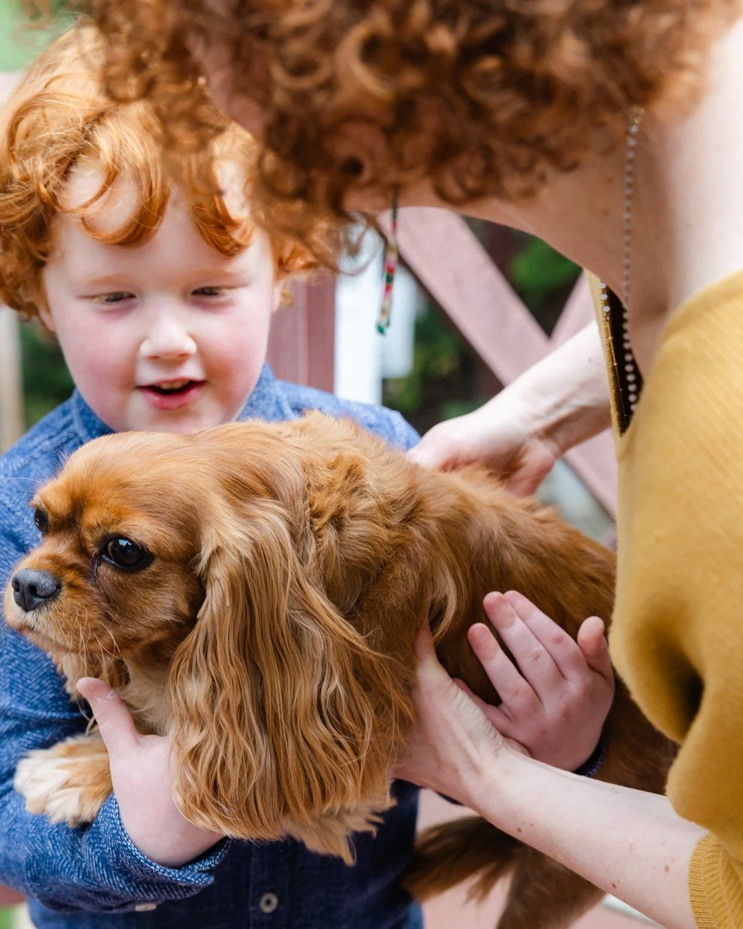 The family pets featured heavily in this recent family session. I sometimes get asked if it's okay if a pet joins and the answer is ALWAYS yes. All family members are heartily encouraged to participate in family photos. And just like the humans, ther