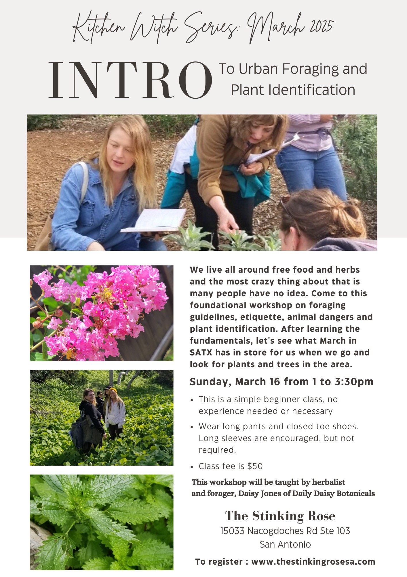 Kitchen Witch Series: Intro to Urban Foraging & Plant Identification