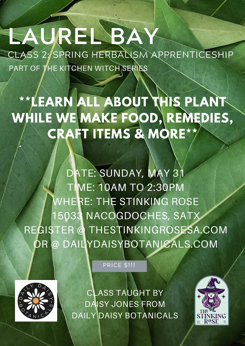 Spring Herbalism Class 2: Laurel Bay