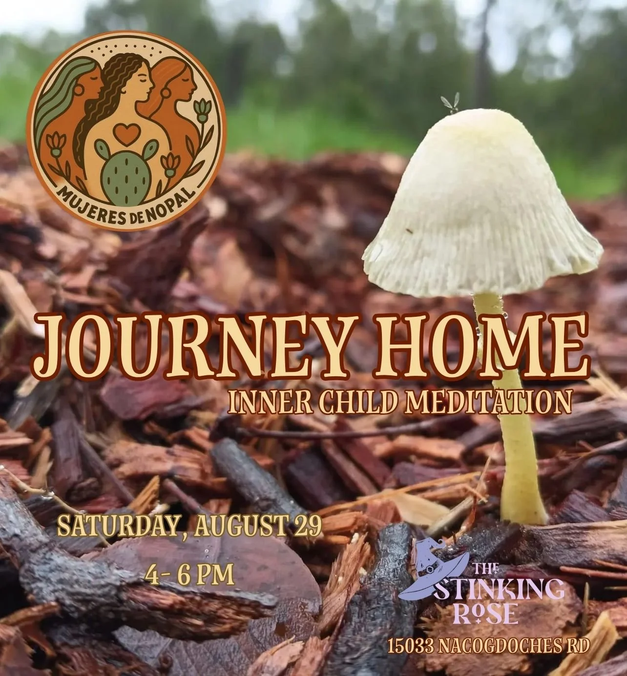 The Journey Home: inner Child Meditation
