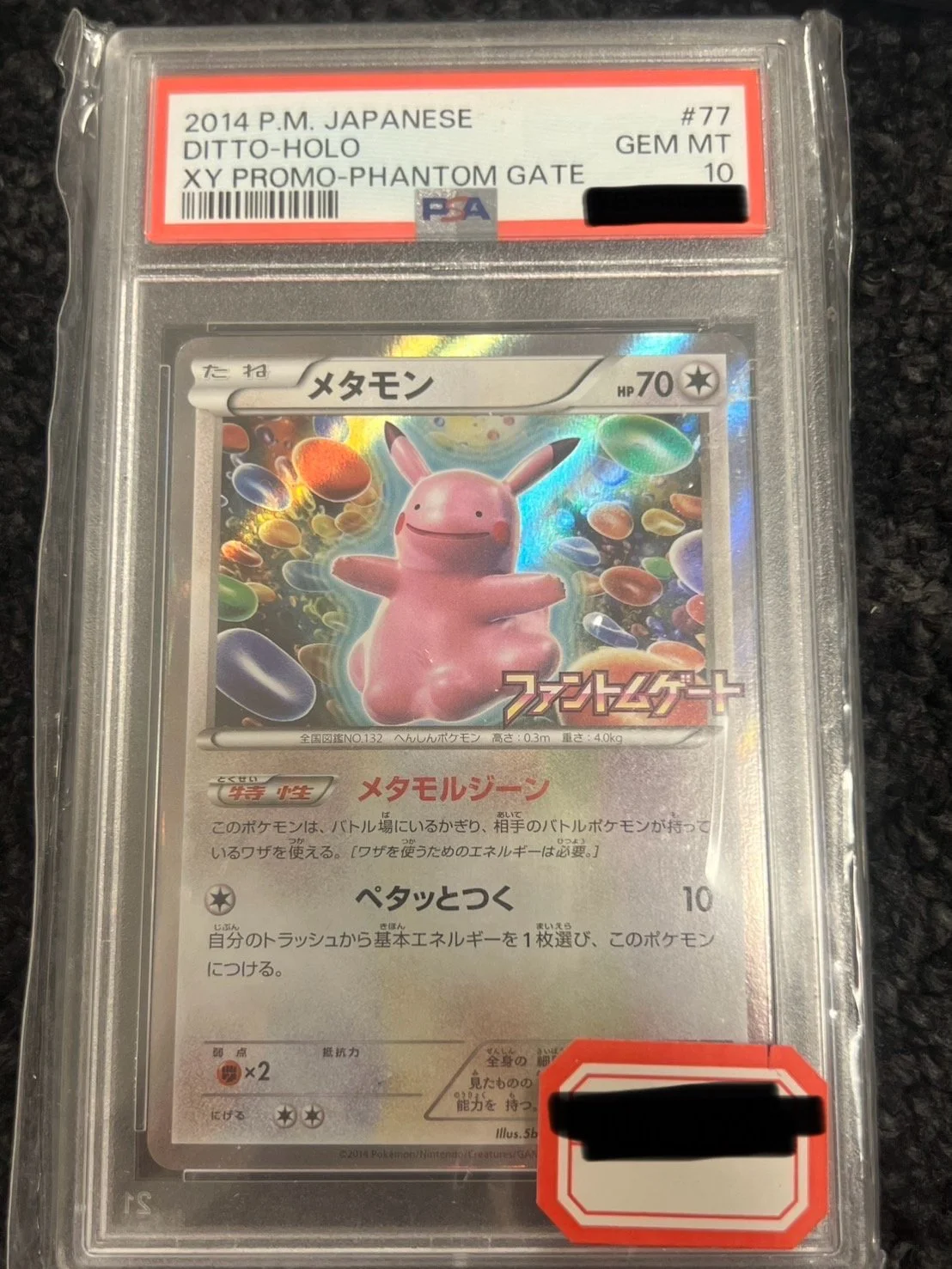 077_XY-P.jpg