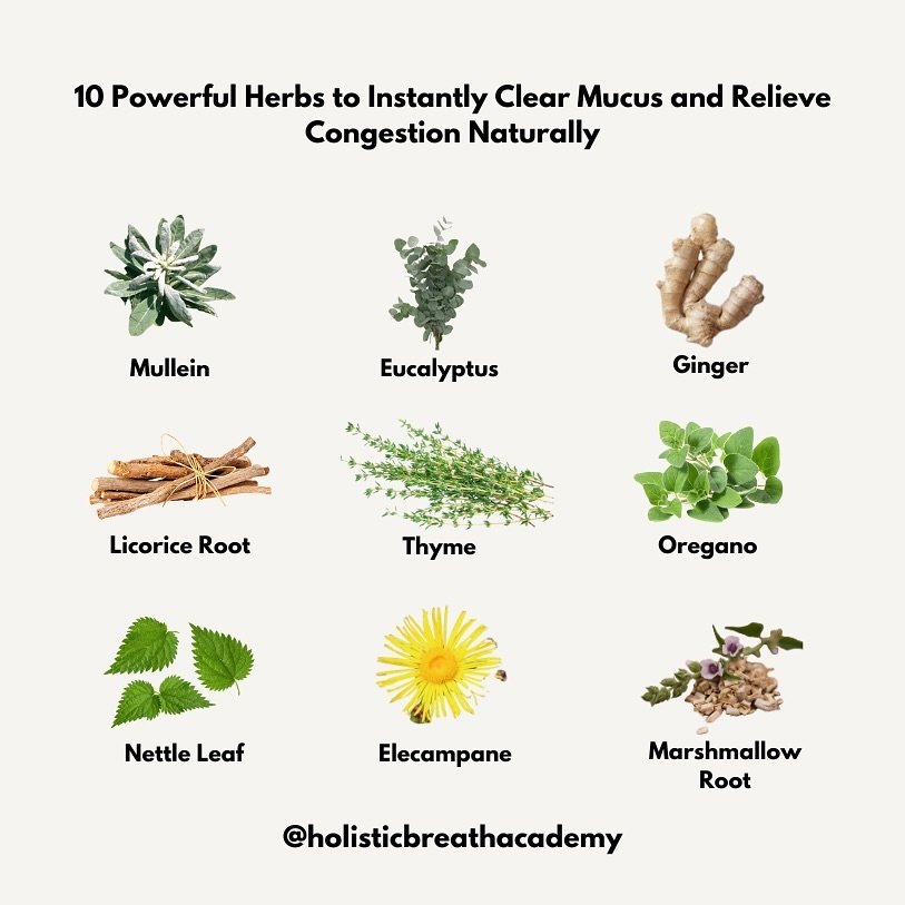 Clearing mucus isn&rsquo;t just about breathing easier&mdash;it&rsquo;s about supporting your overall health. 🌿 Excess mucus can trap toxins, worsen inflammation, and weaken your immune system.

Herbs like mullein, ginger, and eucalyptus naturally c
