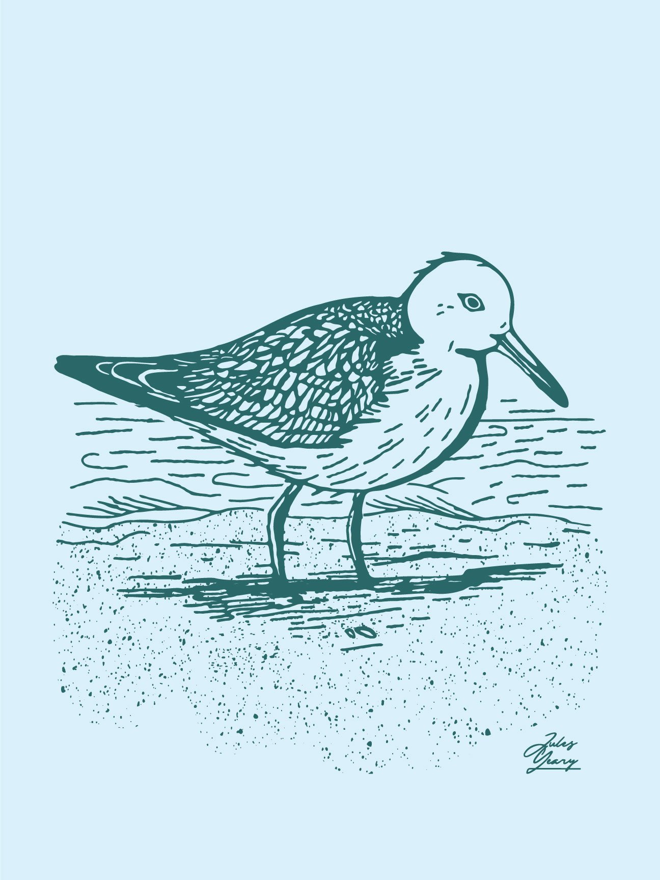 Sandpiper