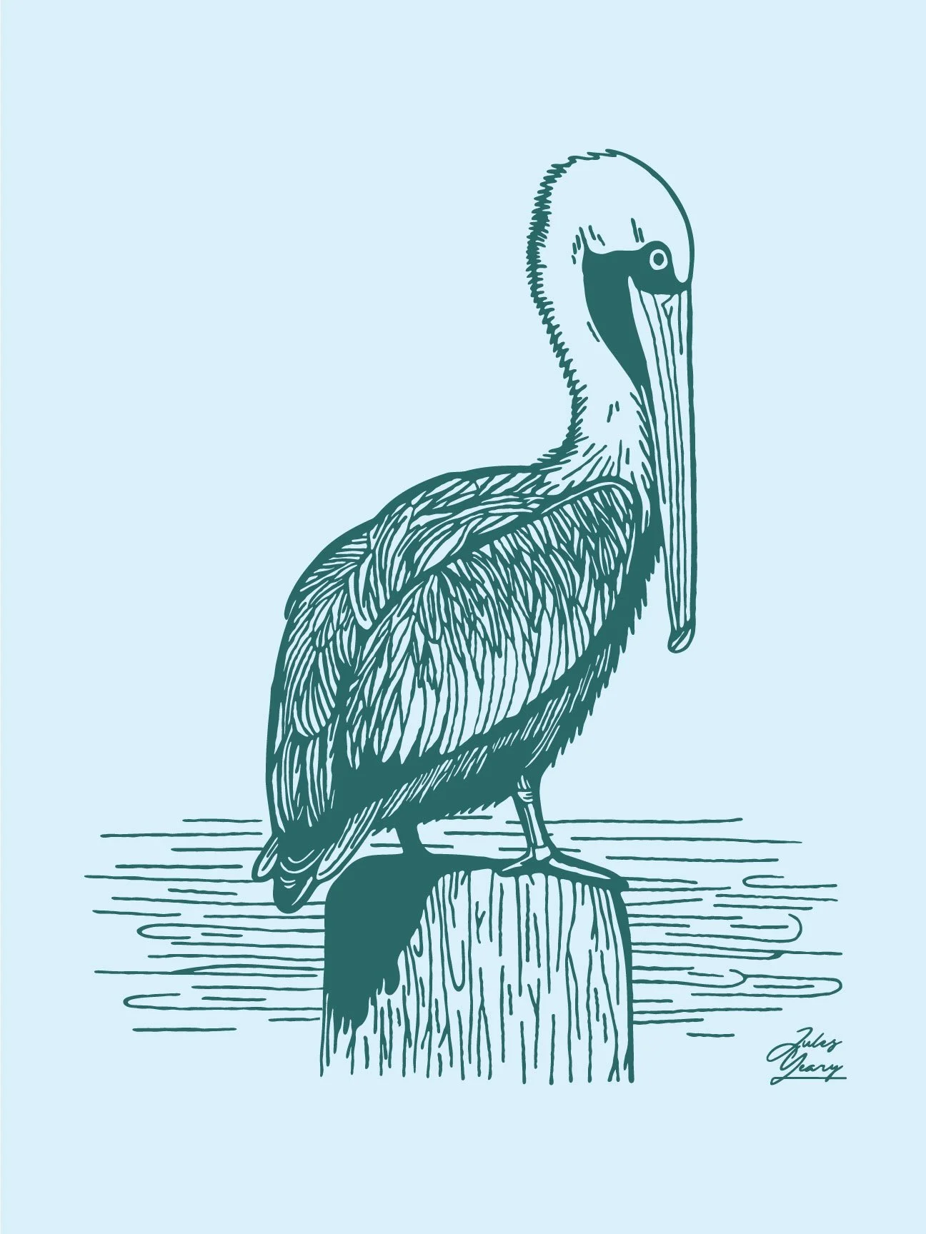 Pelican