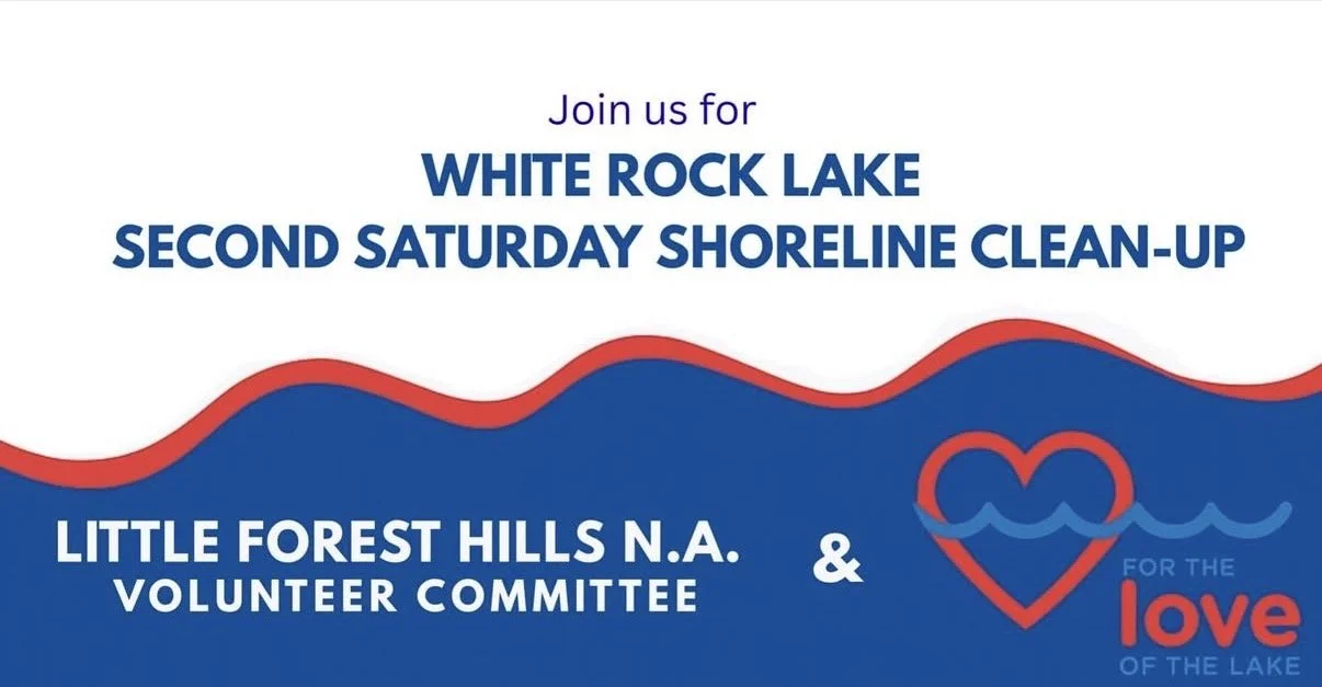 Second Saturday Shoreline Cleanup - August