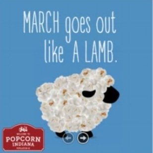popcorn_social7.jpg