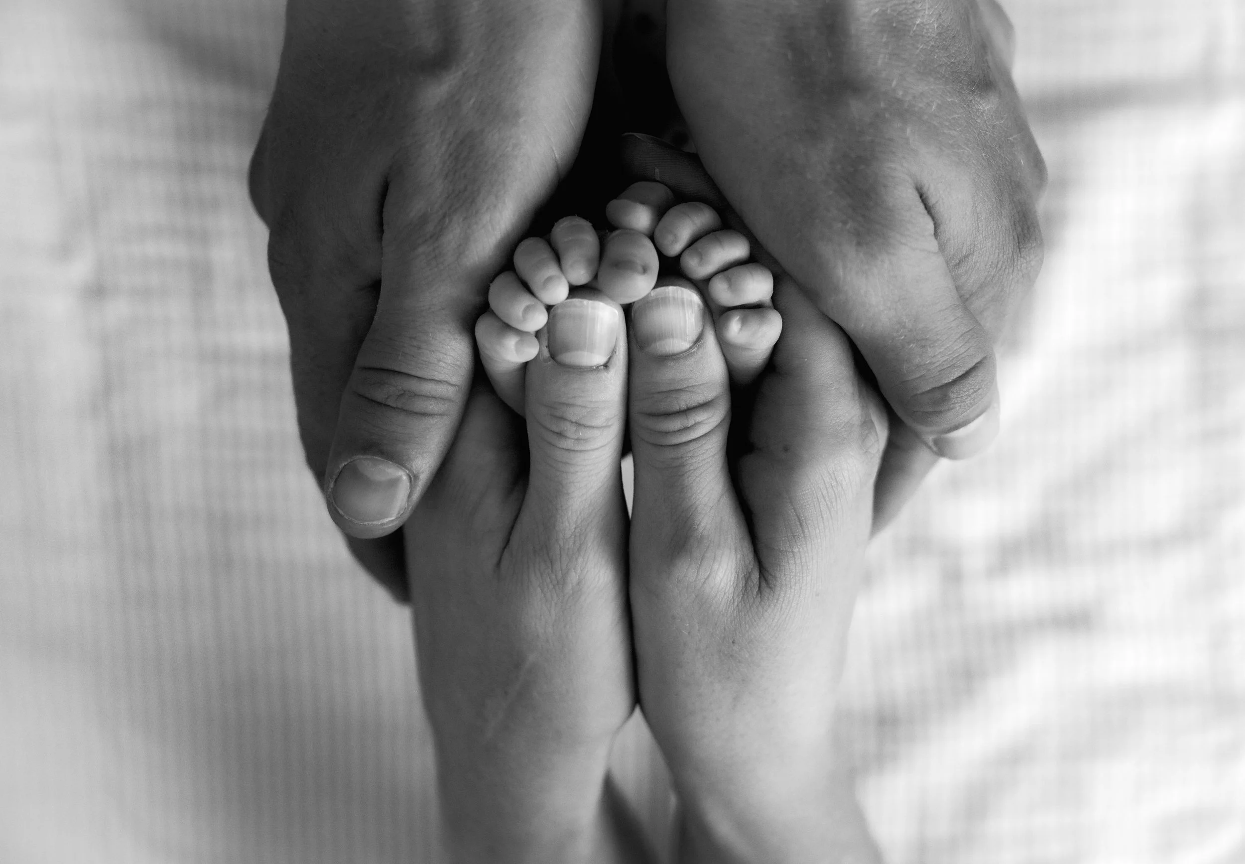 2025.01 - Random 2 (250)_FQ.jpg