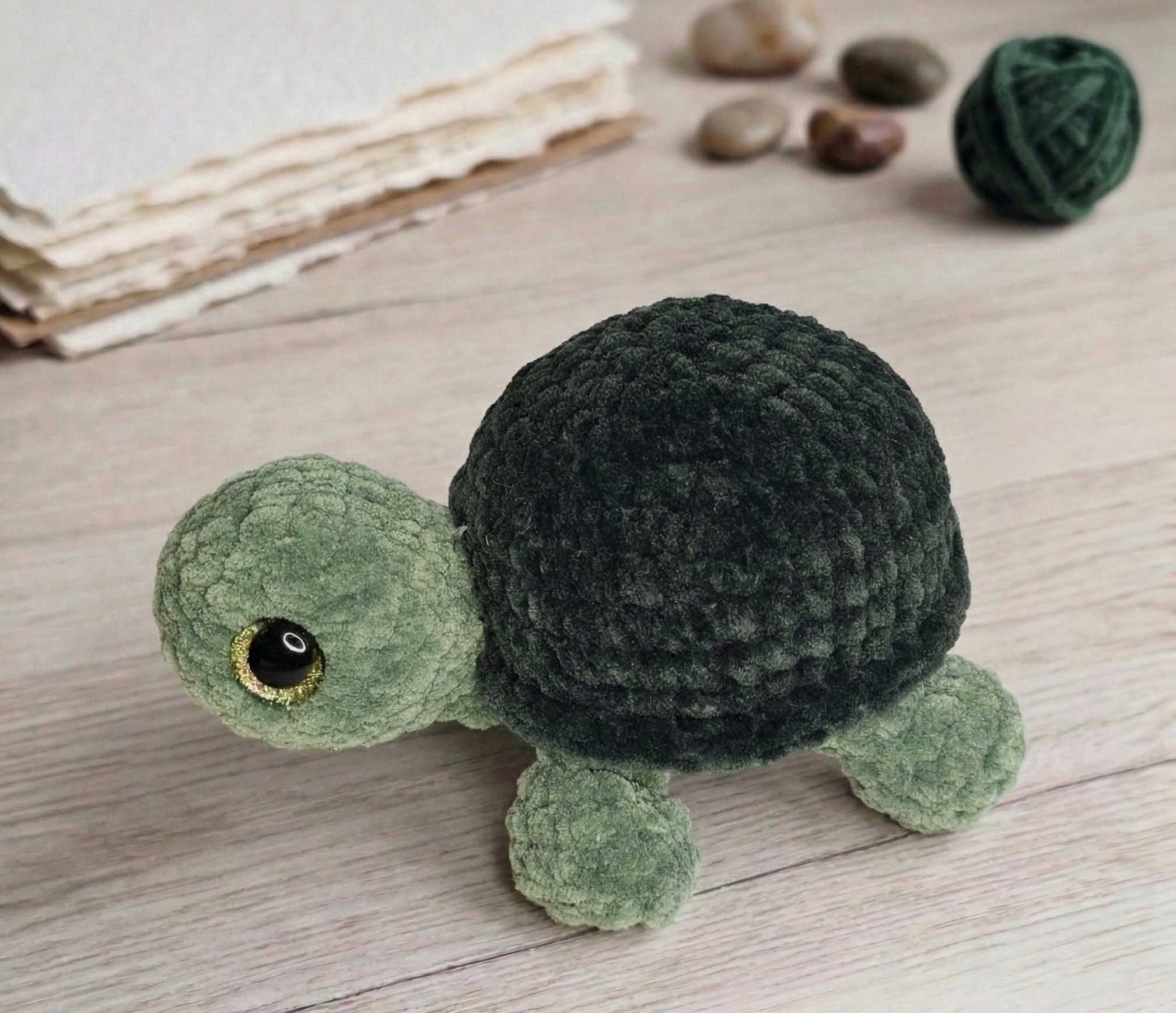 Taylor the Tortoise green.png