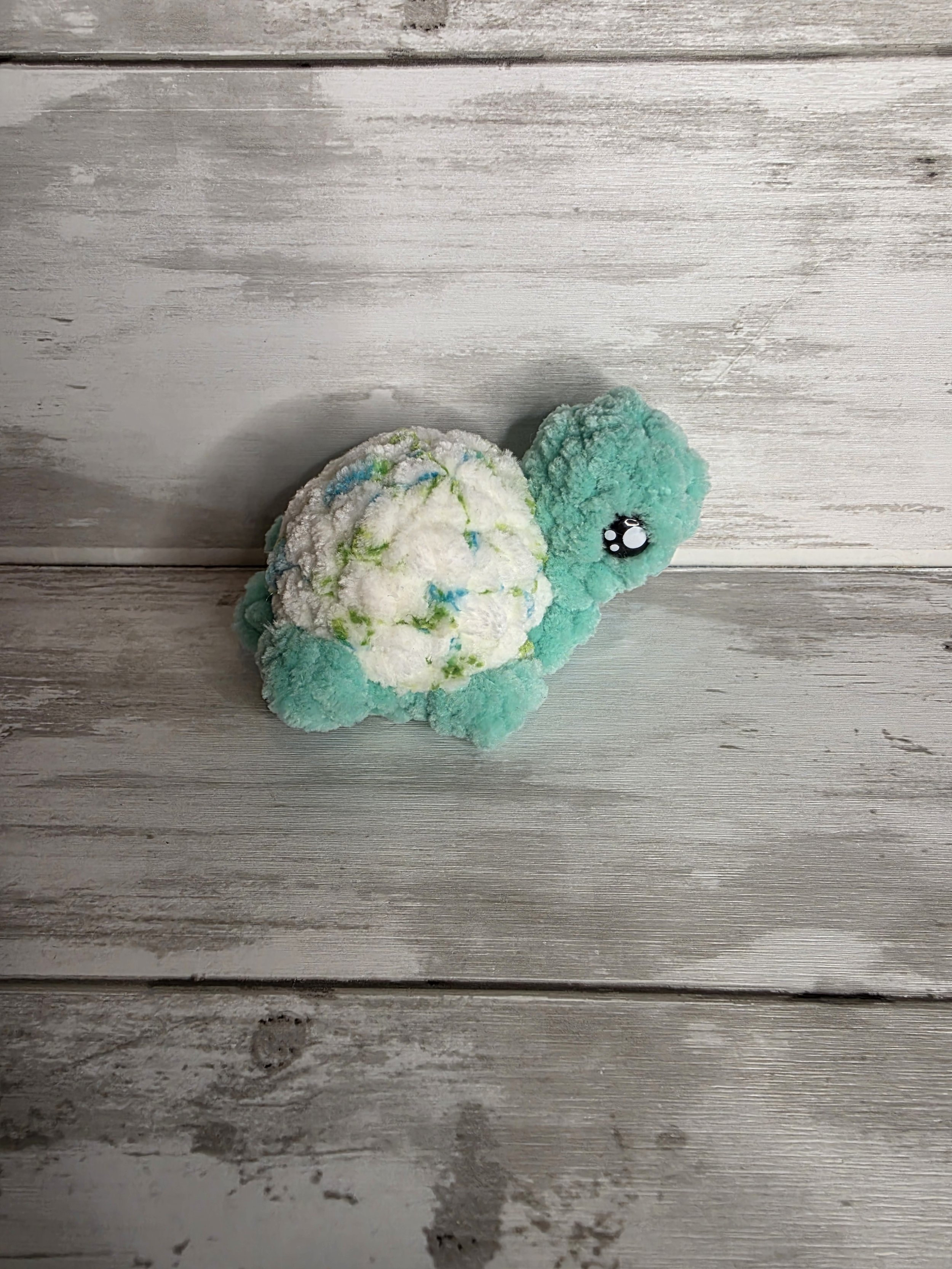 Mini Tortoise
