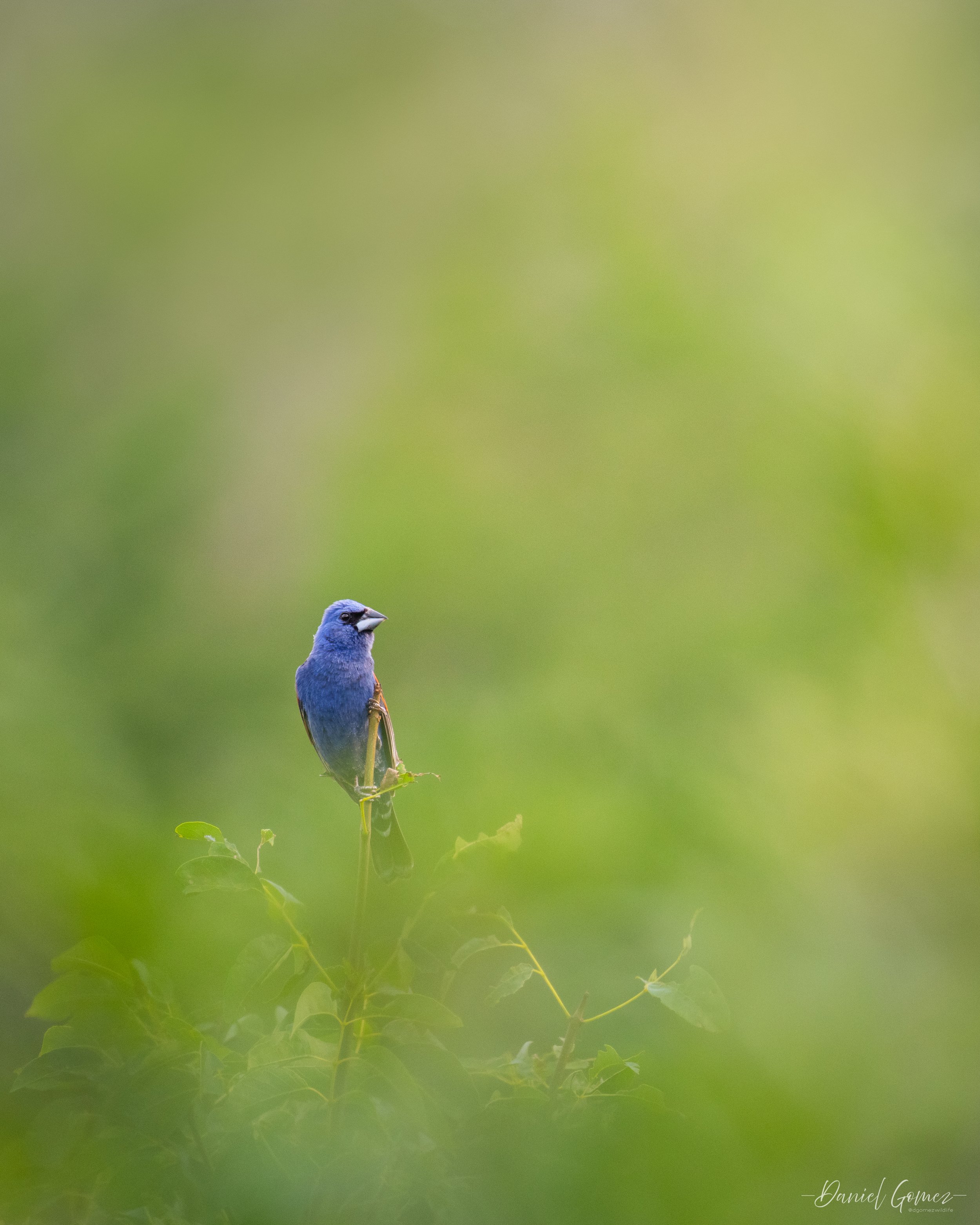 850_0860-Edit.jpg