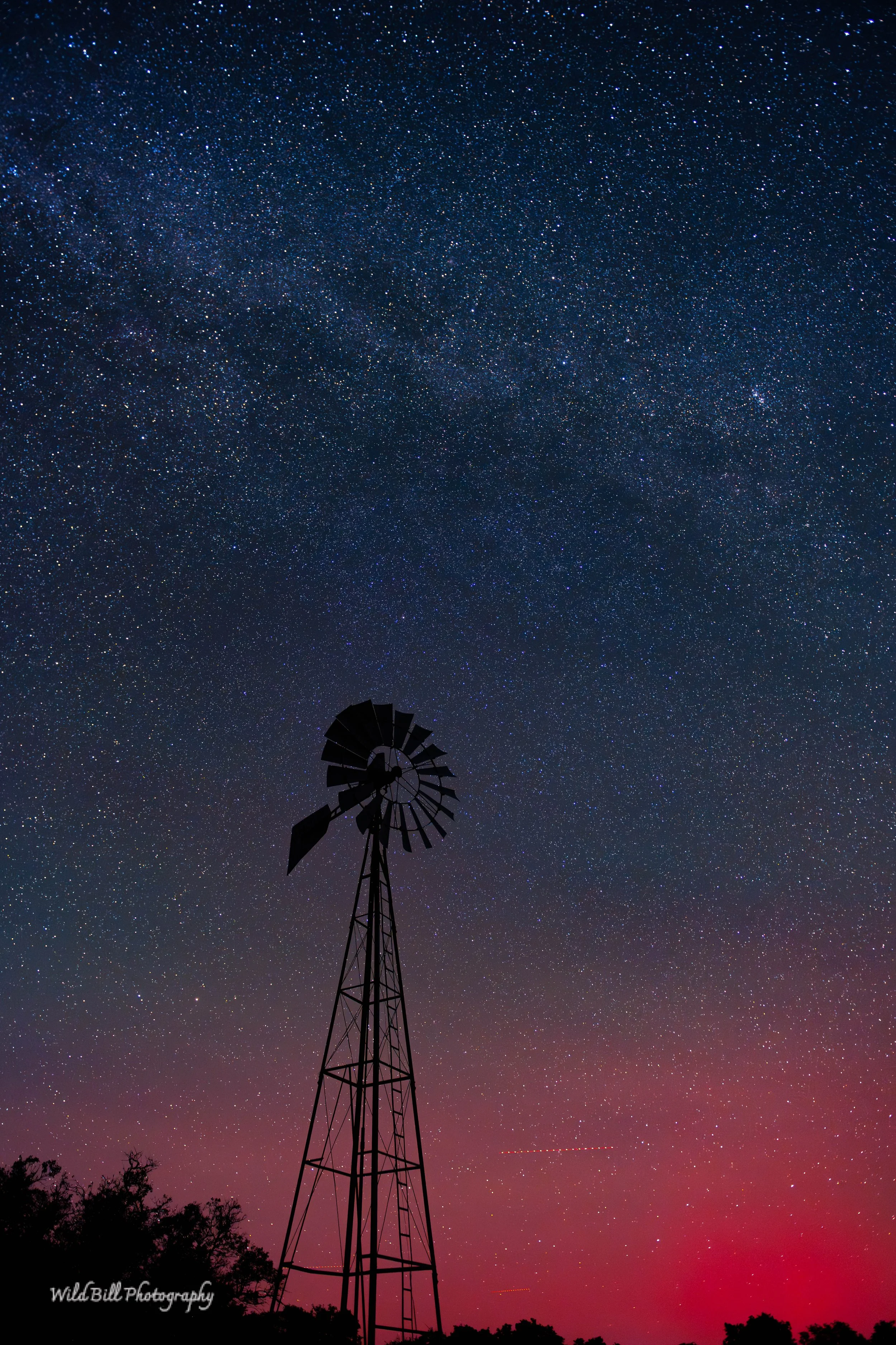 _NZ91751.jpg