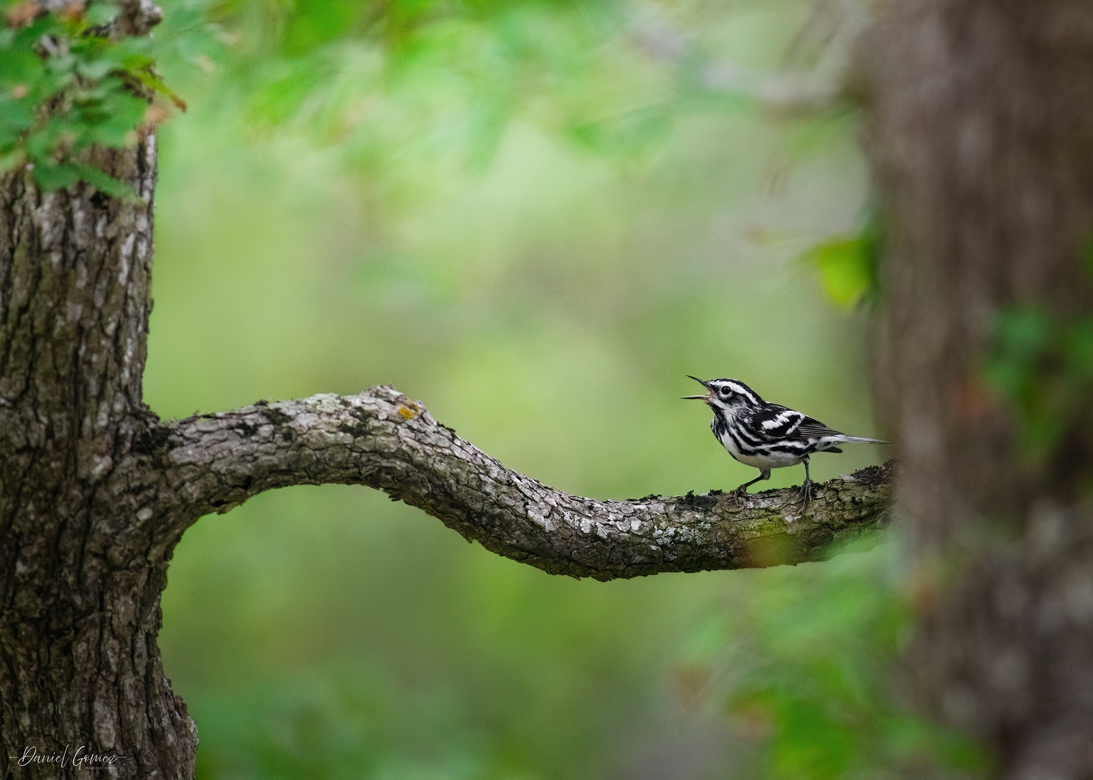 850_0320-Edit-Edit.jpg