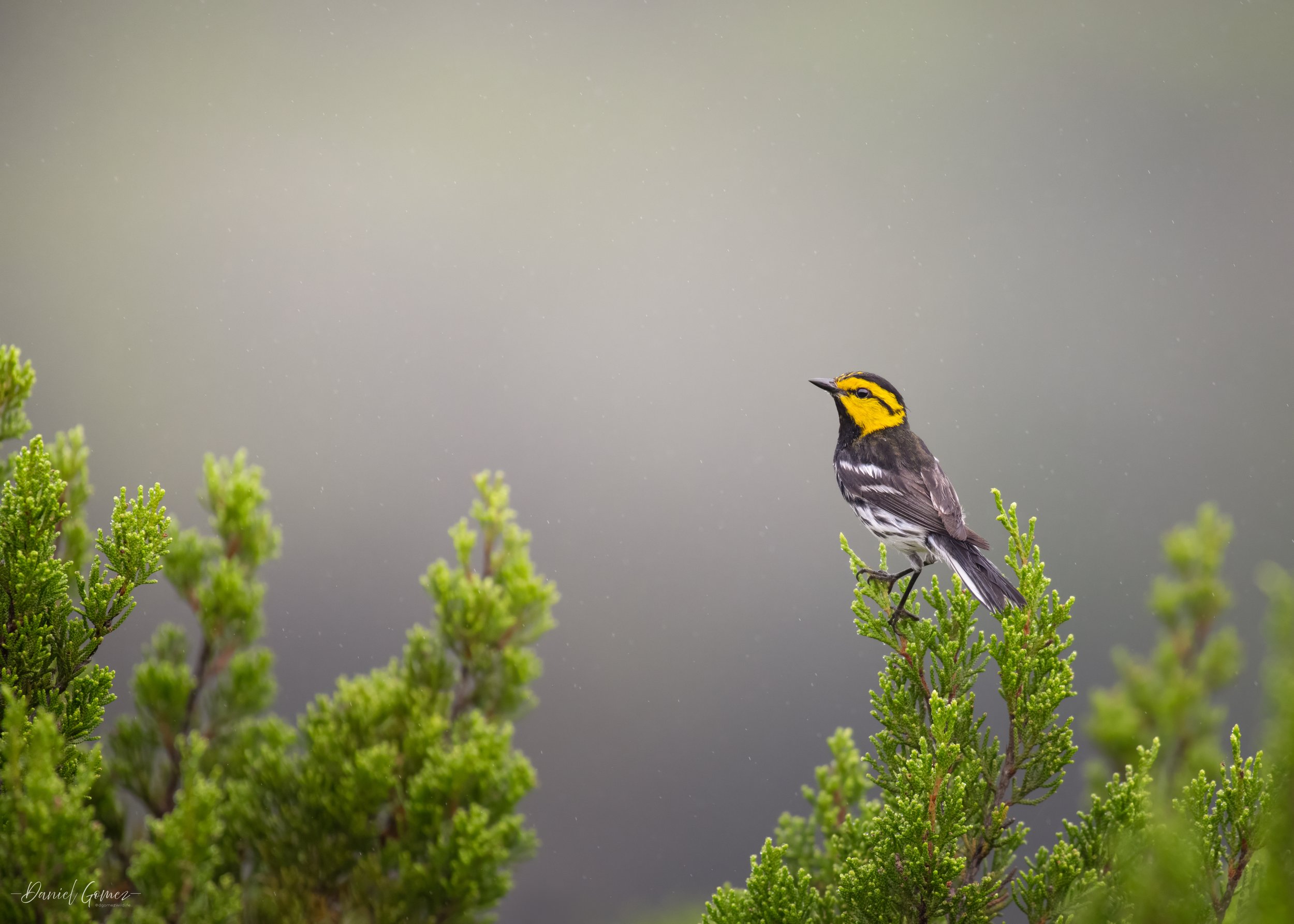 850_9469-Edit.jpg