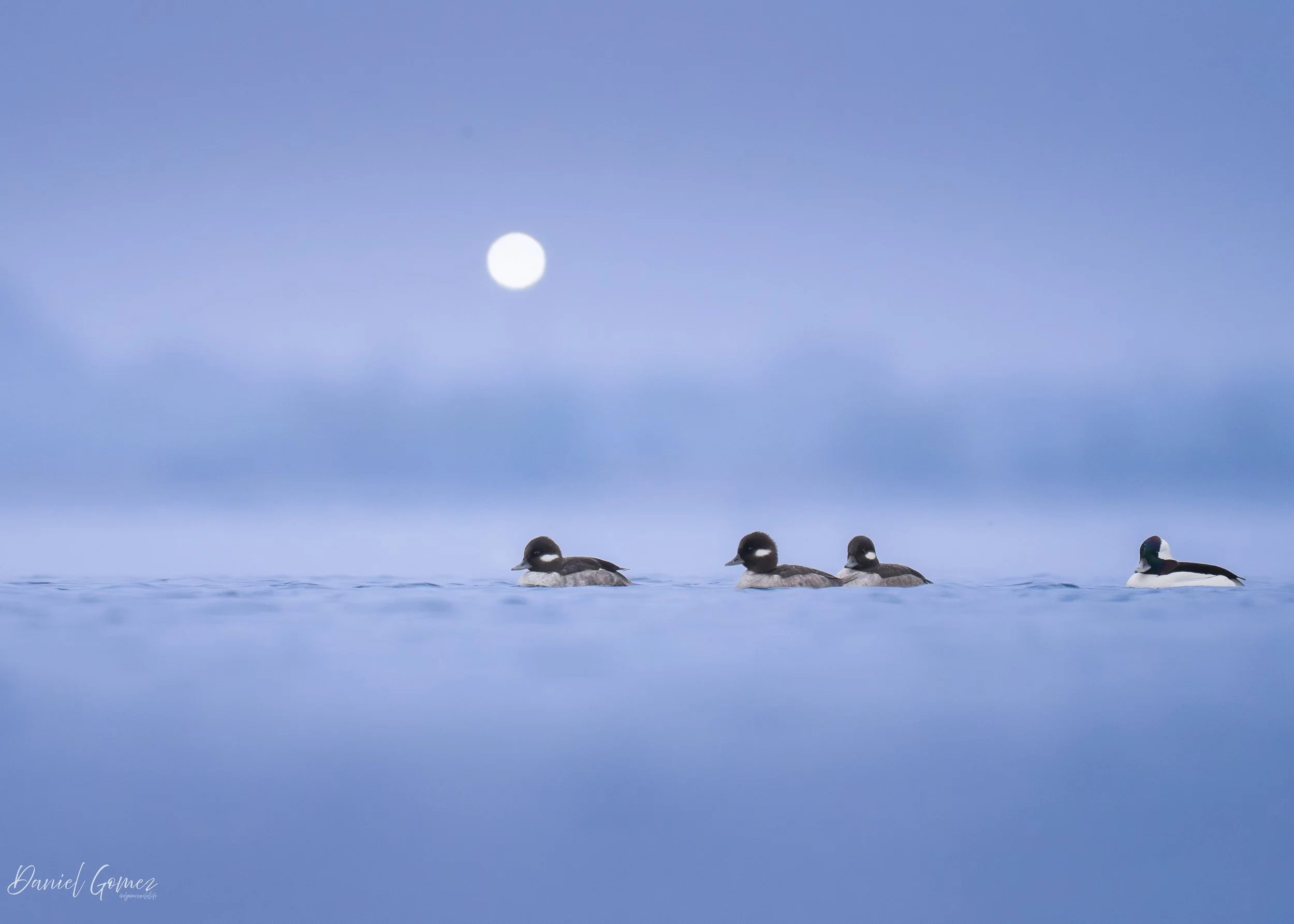 Date Taken: December 21st, 2025