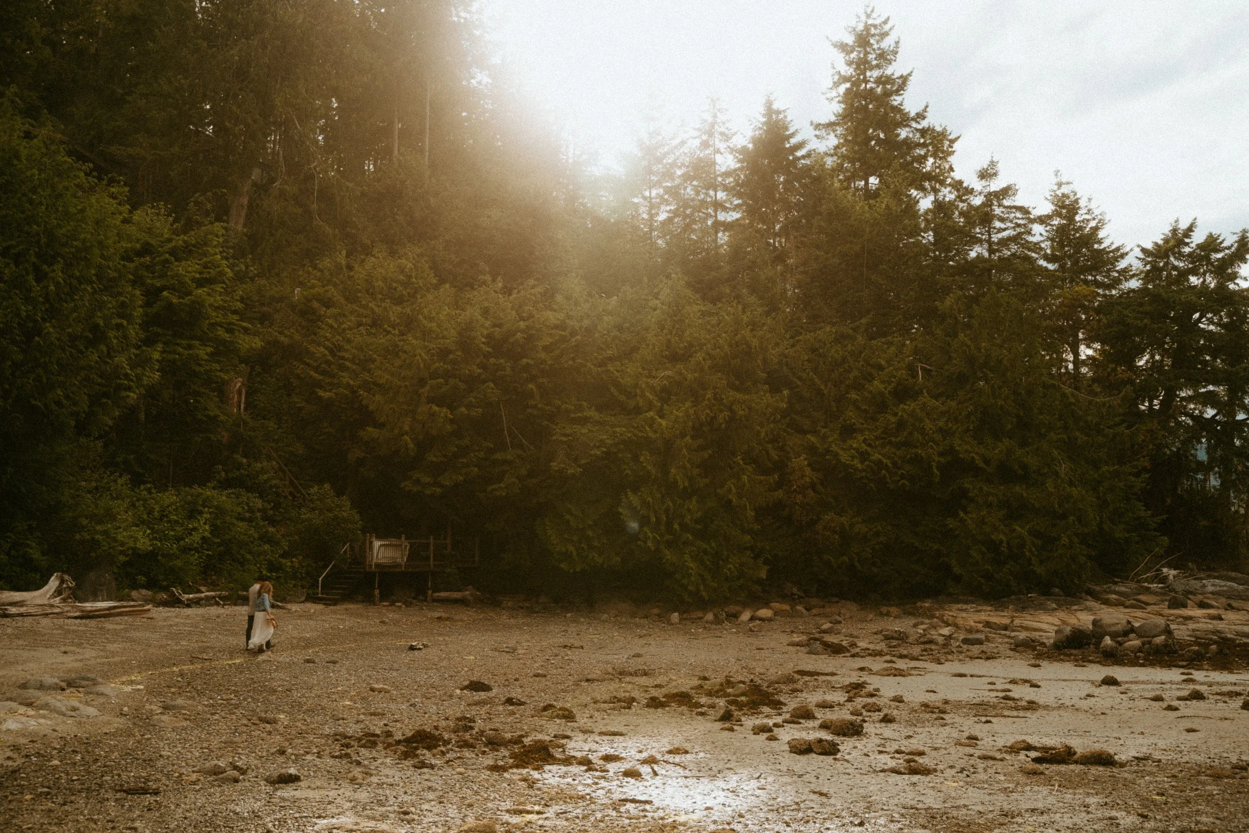 Couples session on the beach in Sechelt, British Columbia