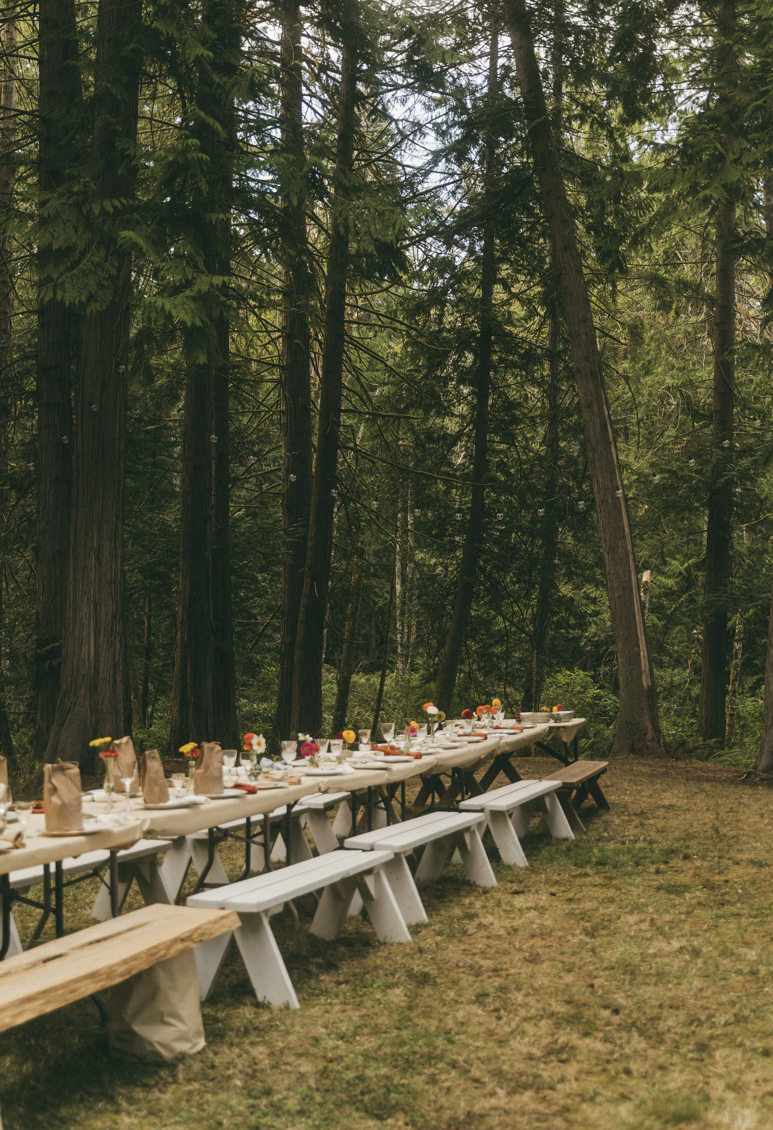 intimate backyard wedding on Galiano Island British Columbia, forest wedding garden party
