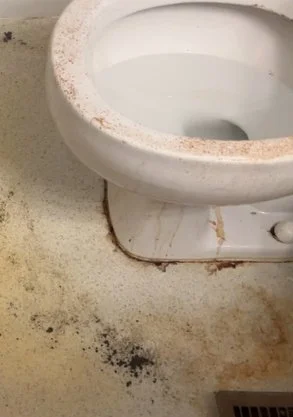 TOILET BEFORE.jpeg