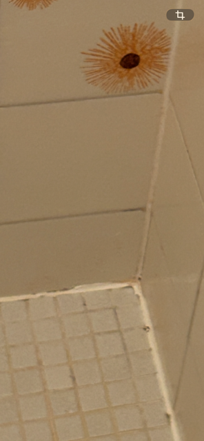 TILE2.PNG