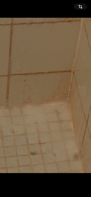 TILE1.PNG