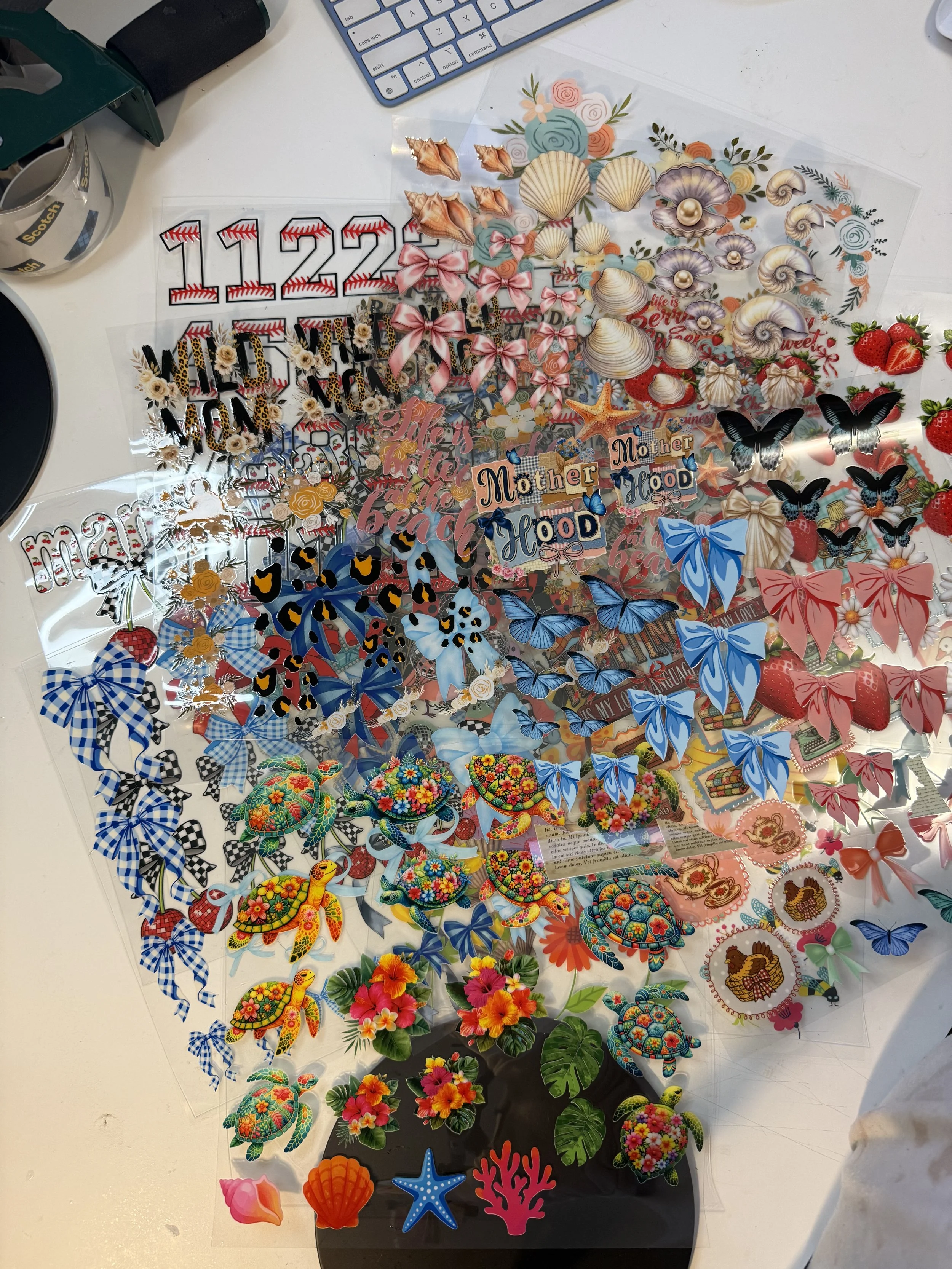 IMG_2859.jpeg