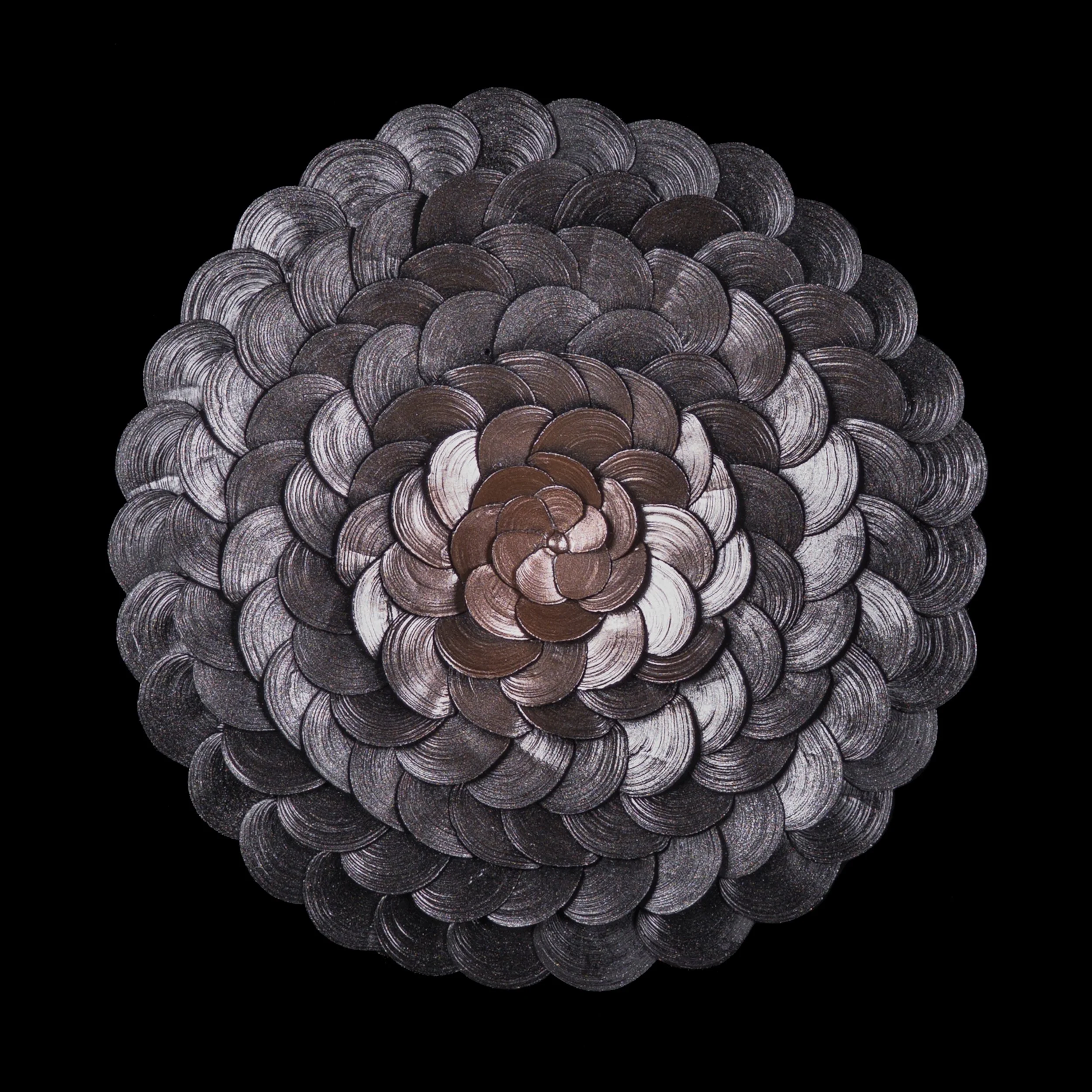 Shell_ (8).jpg