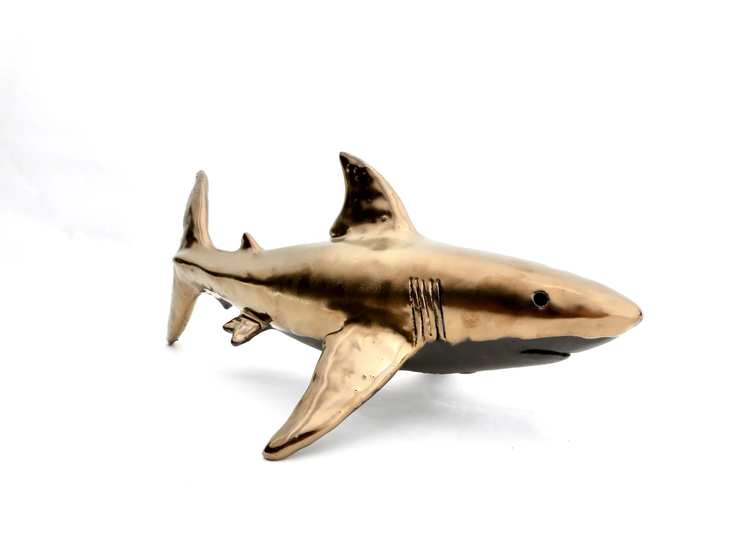 gold shark.jpeg