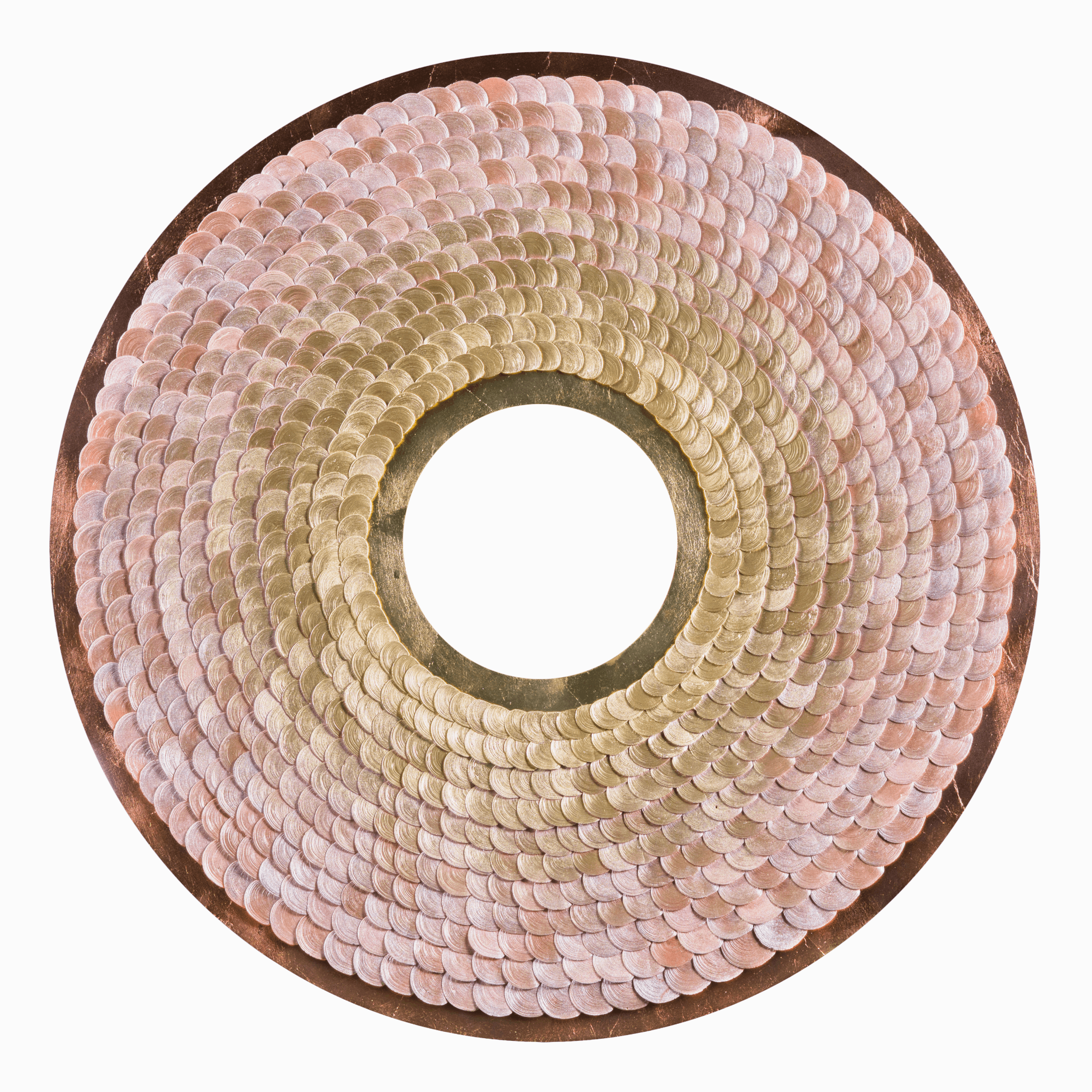 Shell_.png