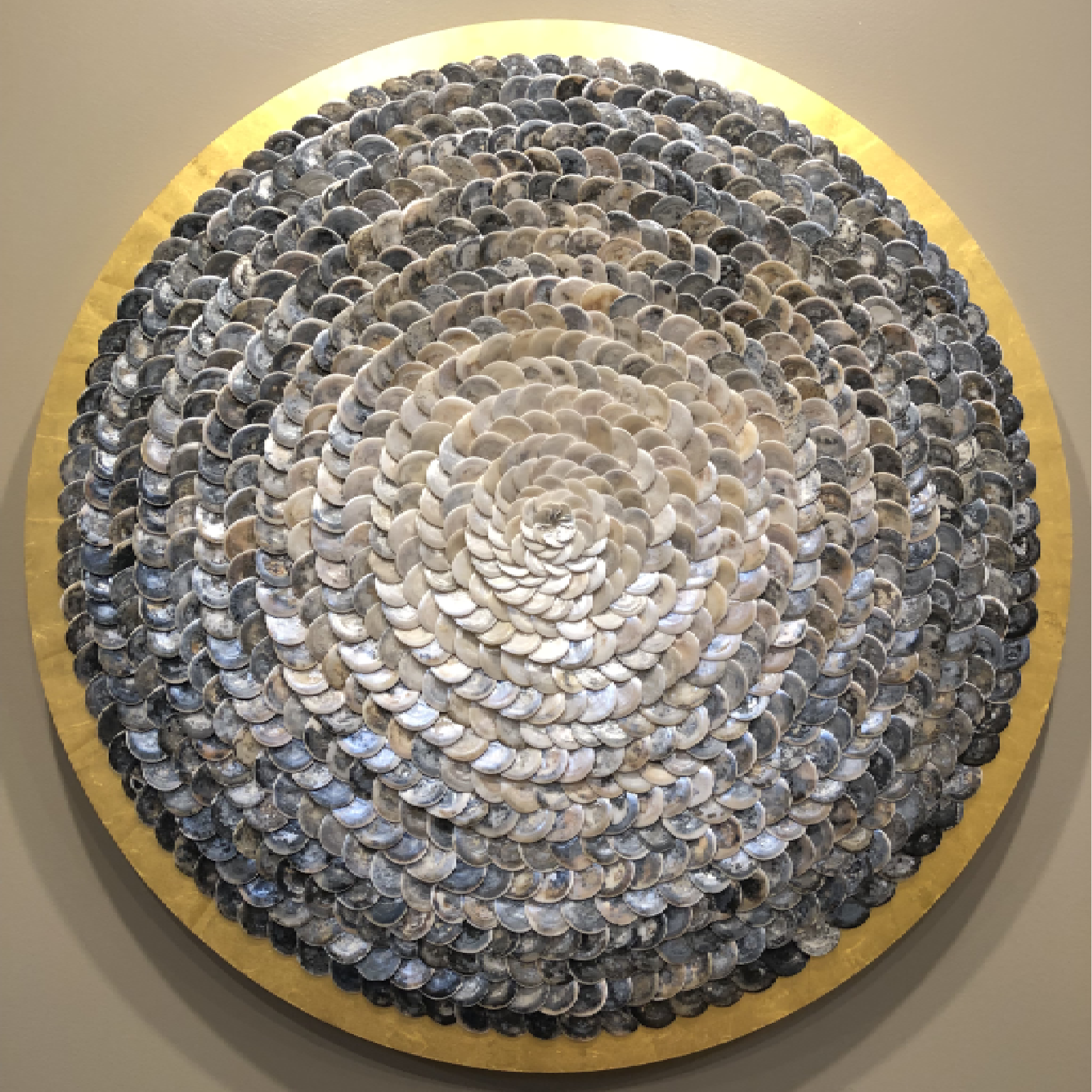 Shell_ (25).png