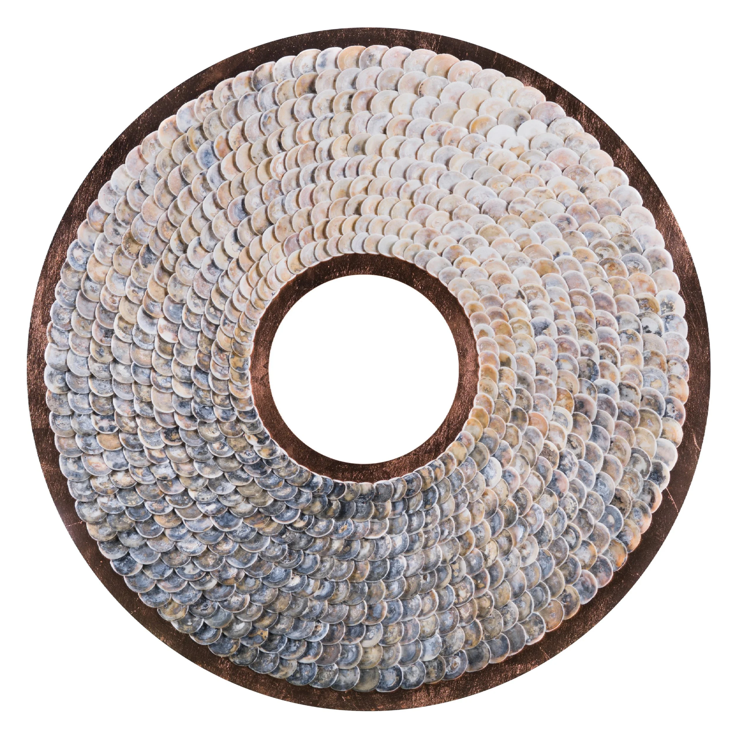 Shell_ (16).jpg