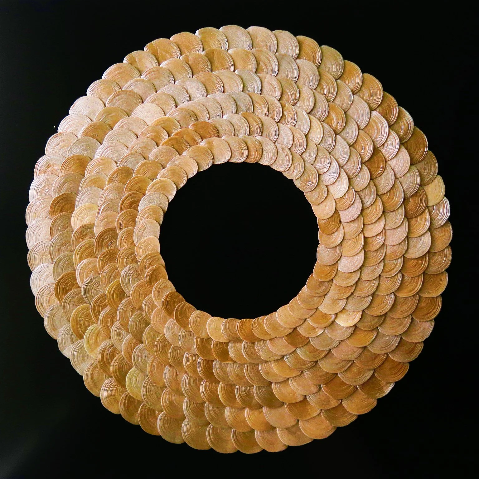 Shell_ (1).jpg
