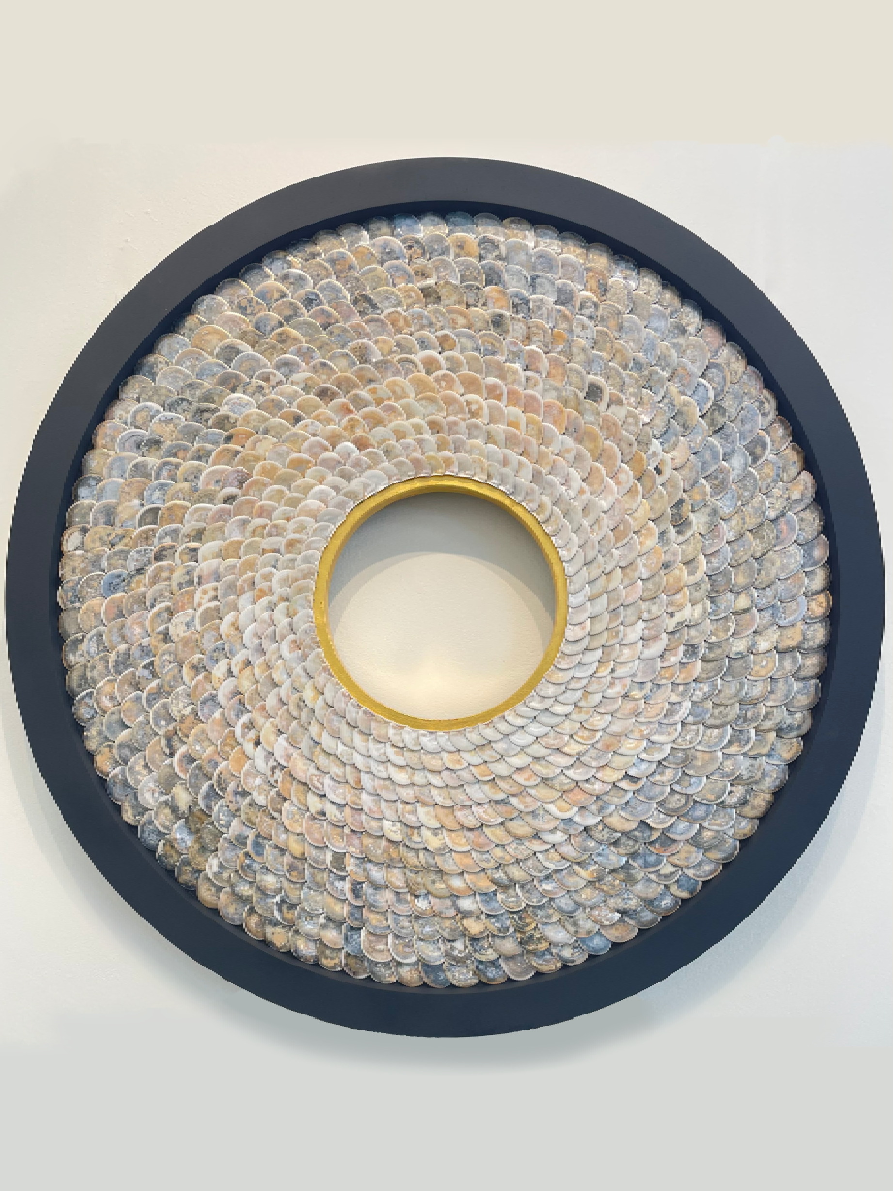 Shell_ (3).png