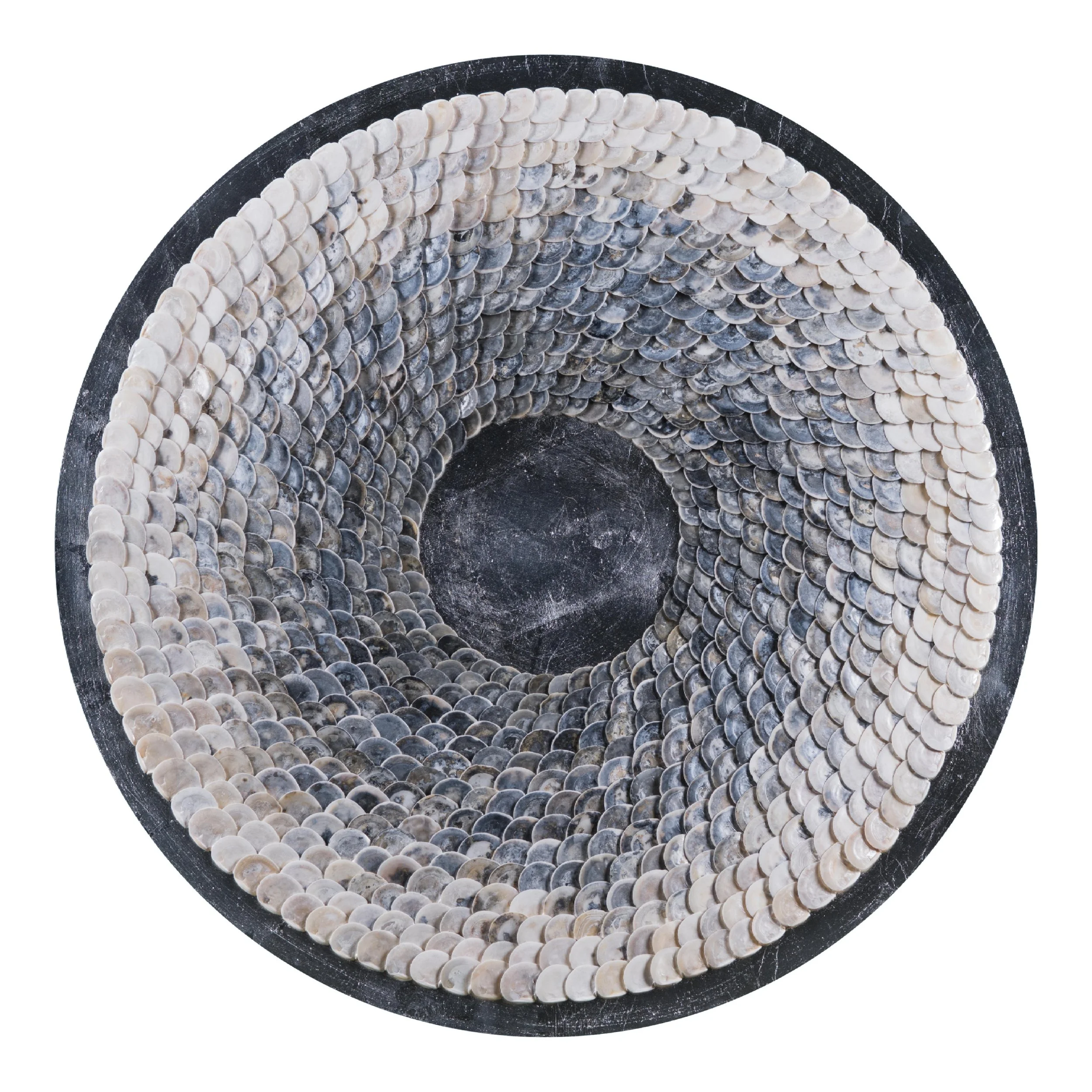 Shell_ (19).jpg