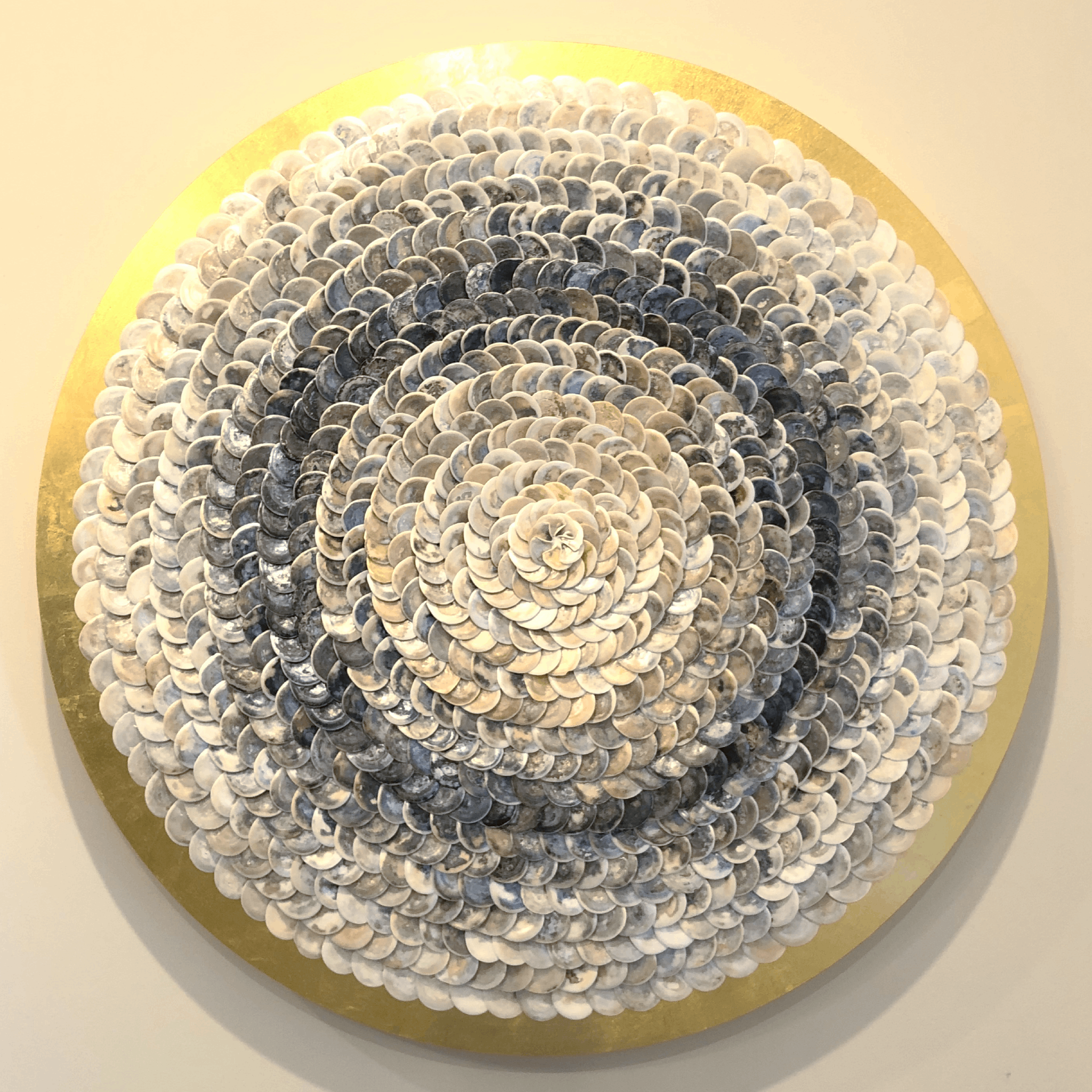 Shell_ (8).png