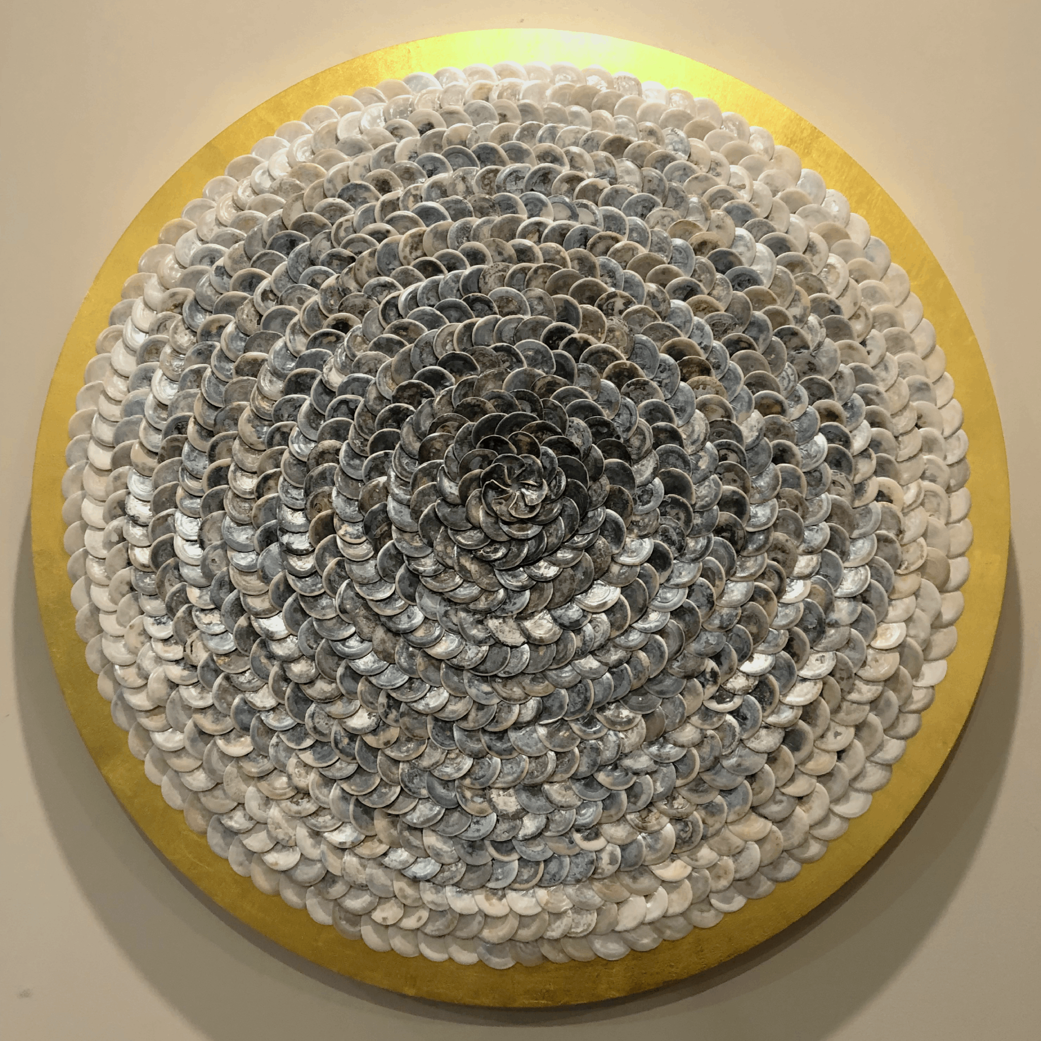 Shell_ (26).png