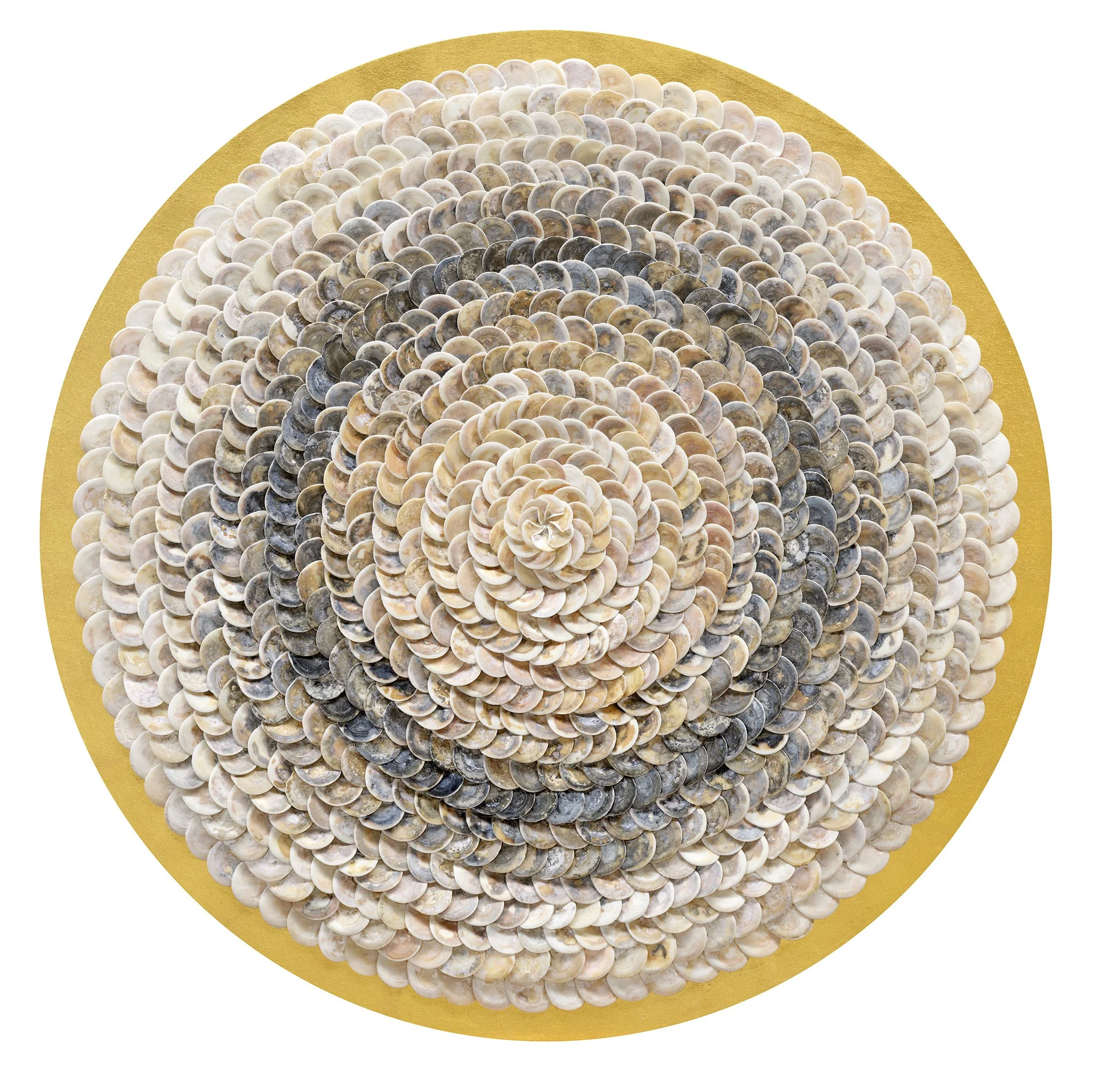Shell_ (35).jpg