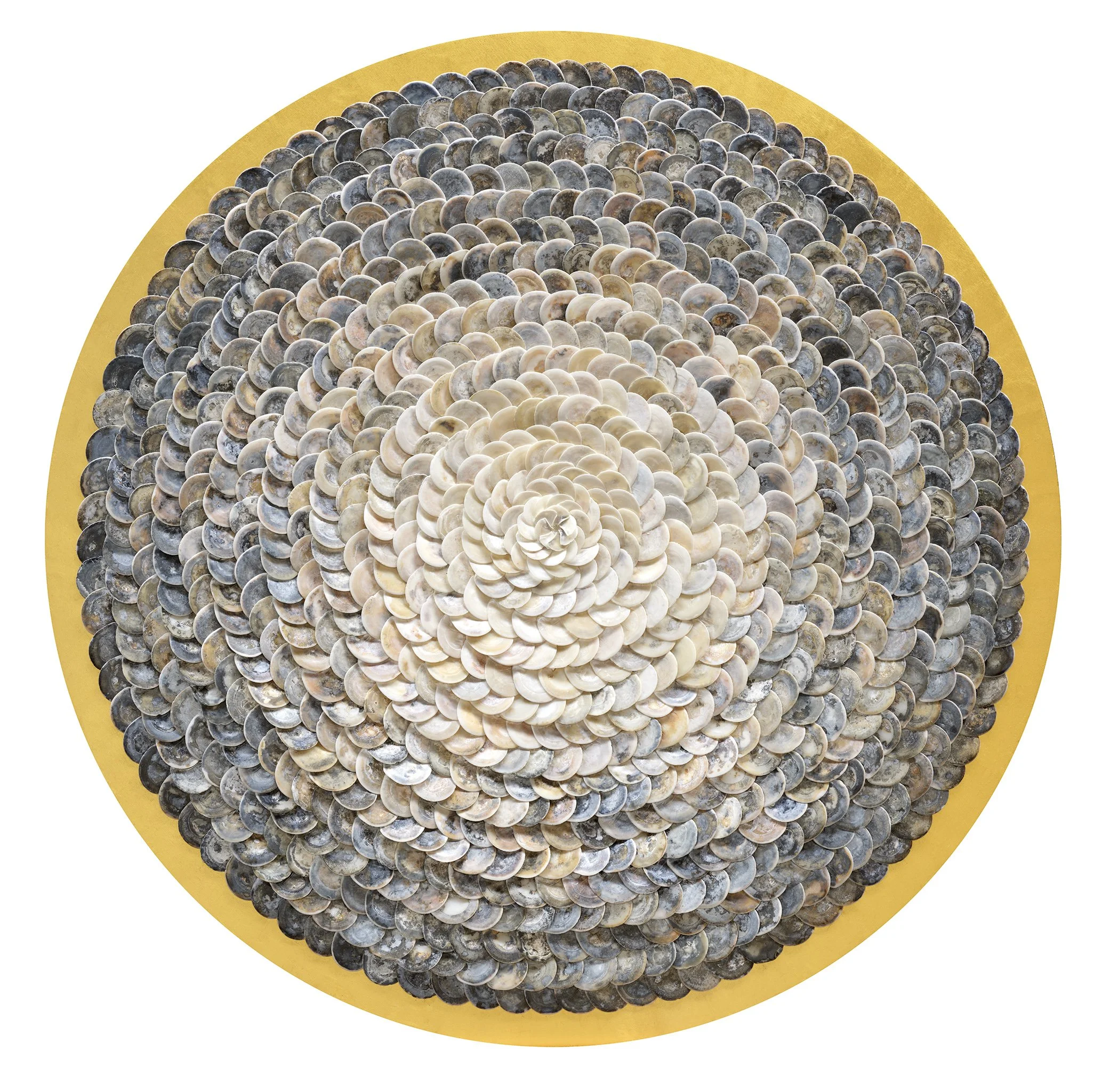 Shell_ (121).jpg