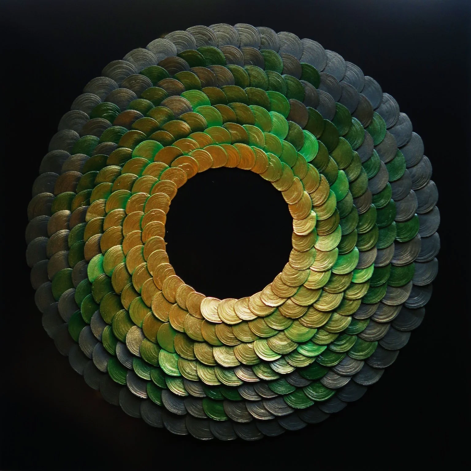 Shell_ (3).jpg