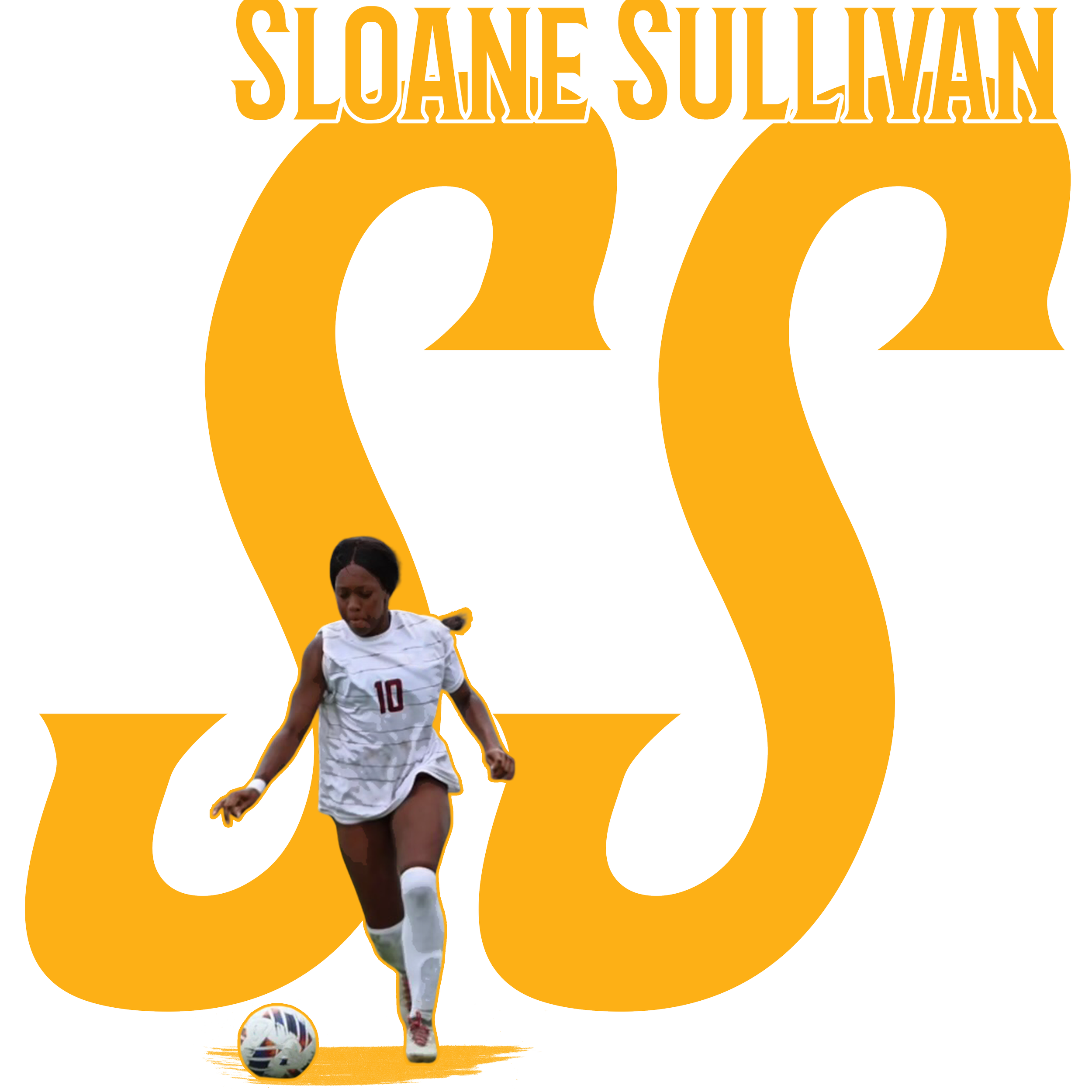SLOANESULLIVAN-name-box-sc.png