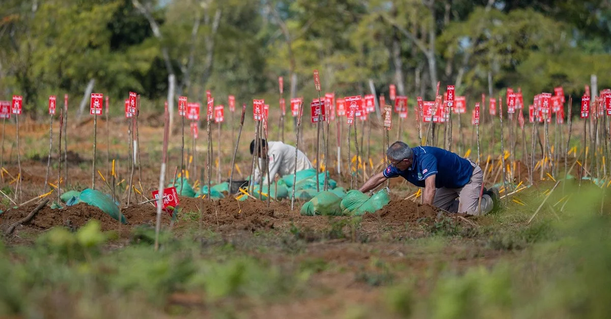 UXO Global Briefing: What Was Found This Fortnight (and Why It Matters)
