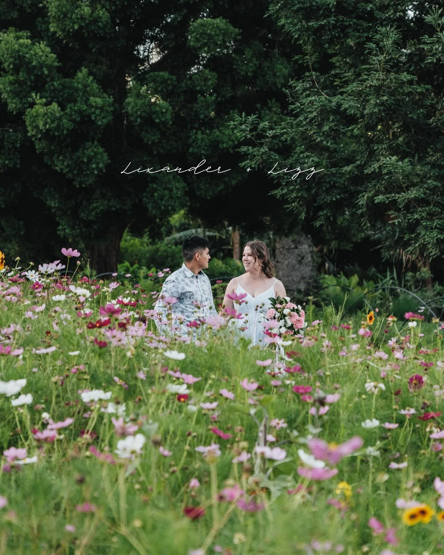 sydney pre-wedding with Liz &amp; Lixander &bull; a sweet pause from busy days, the kind gladly kept for gentle strolls &amp; golden light 🤍