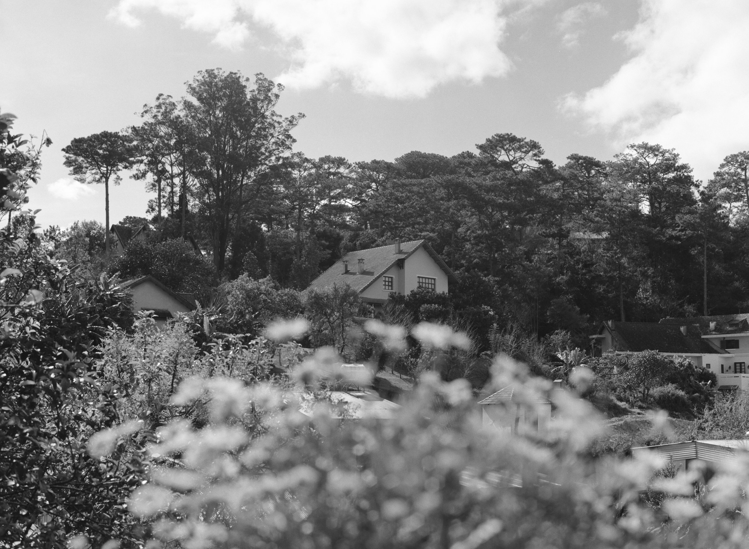 Dalat, and Fuji Acros 100