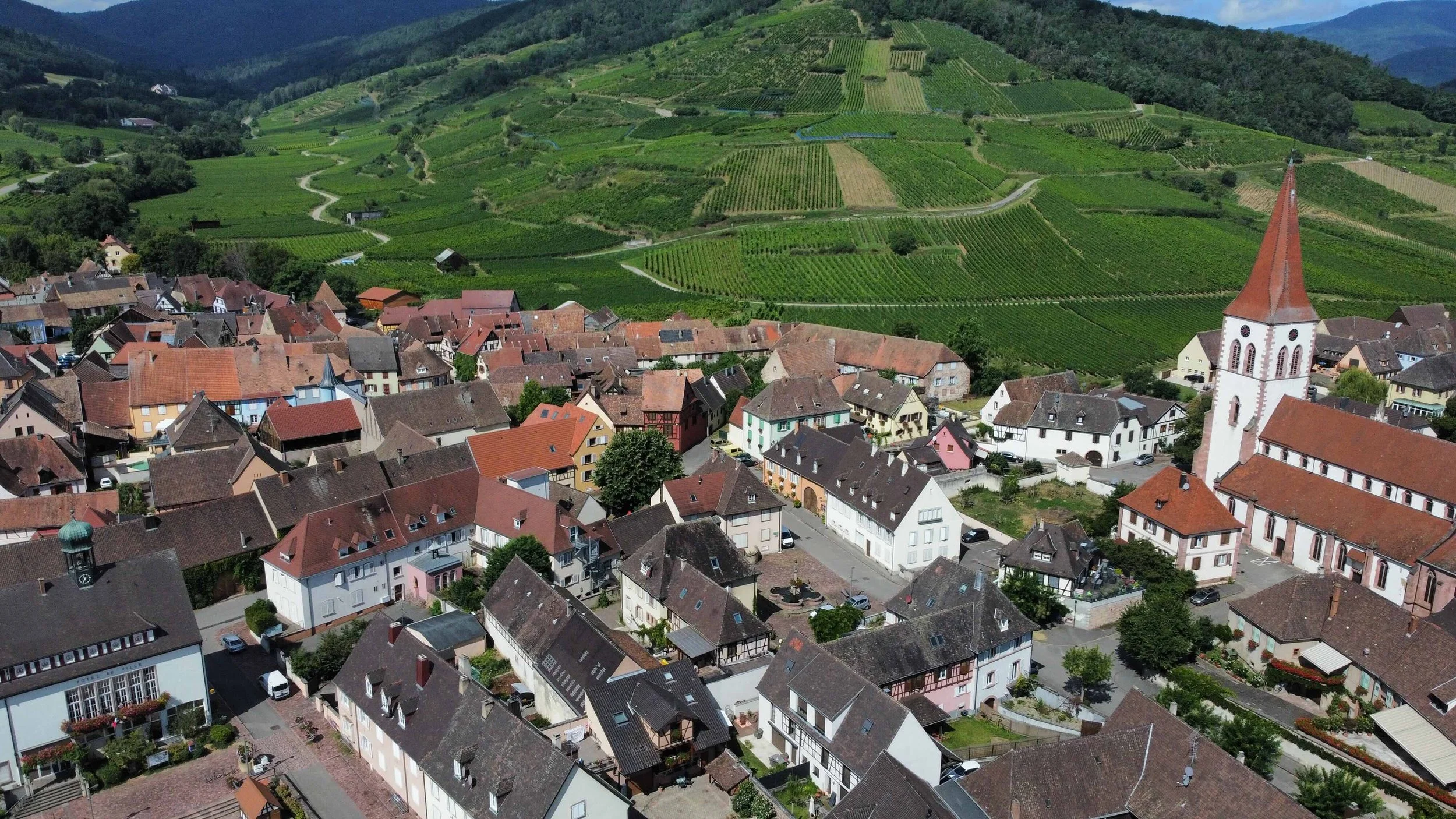 gite-alsace.jpeg